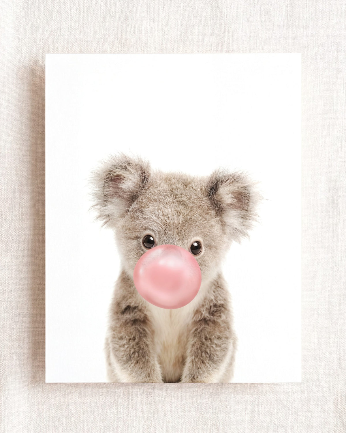 Baby Koala