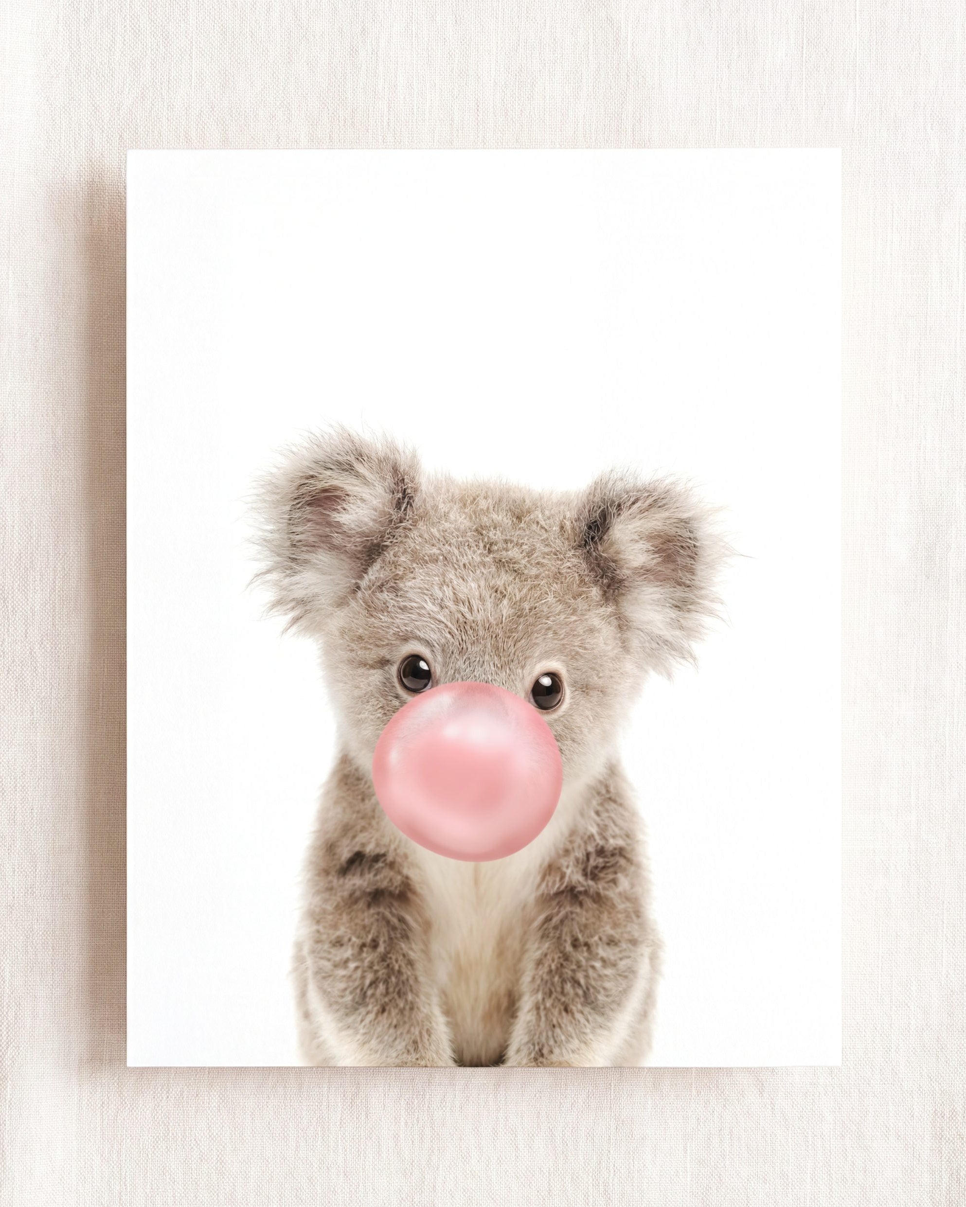Baby Koala