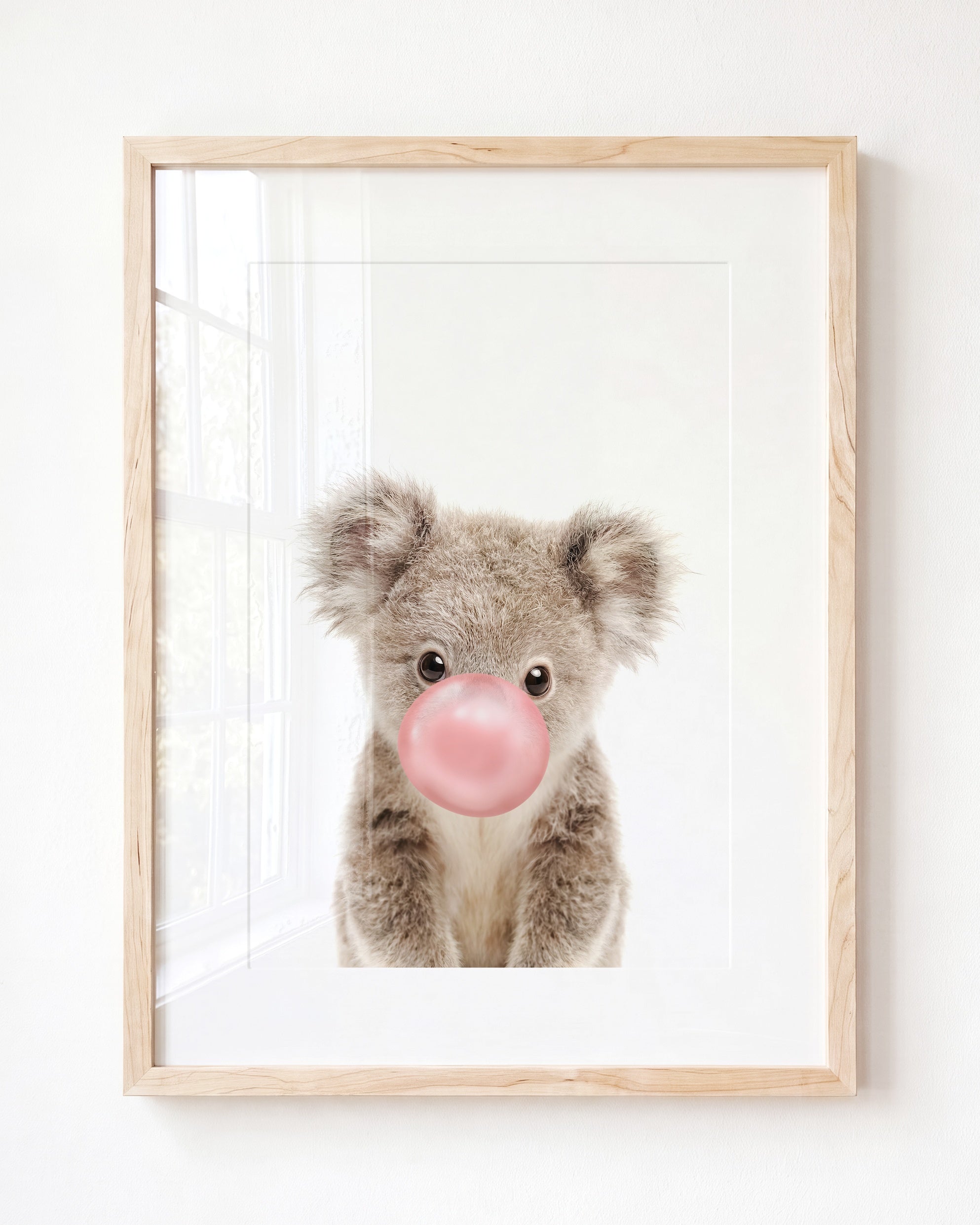 Baby Koala