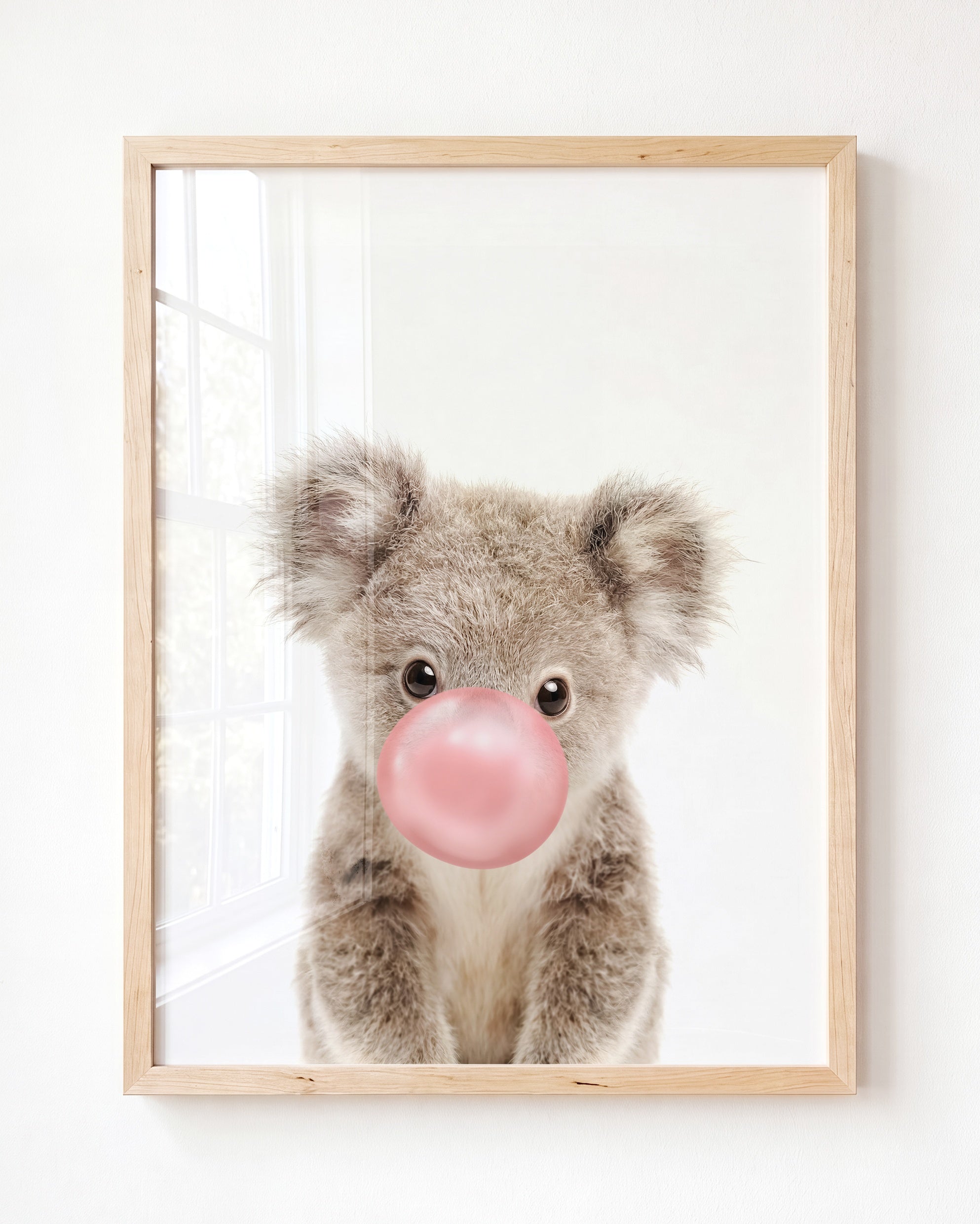 Baby Koala