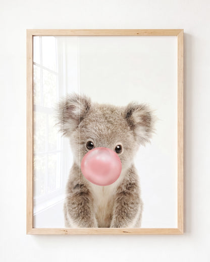 Baby Koala