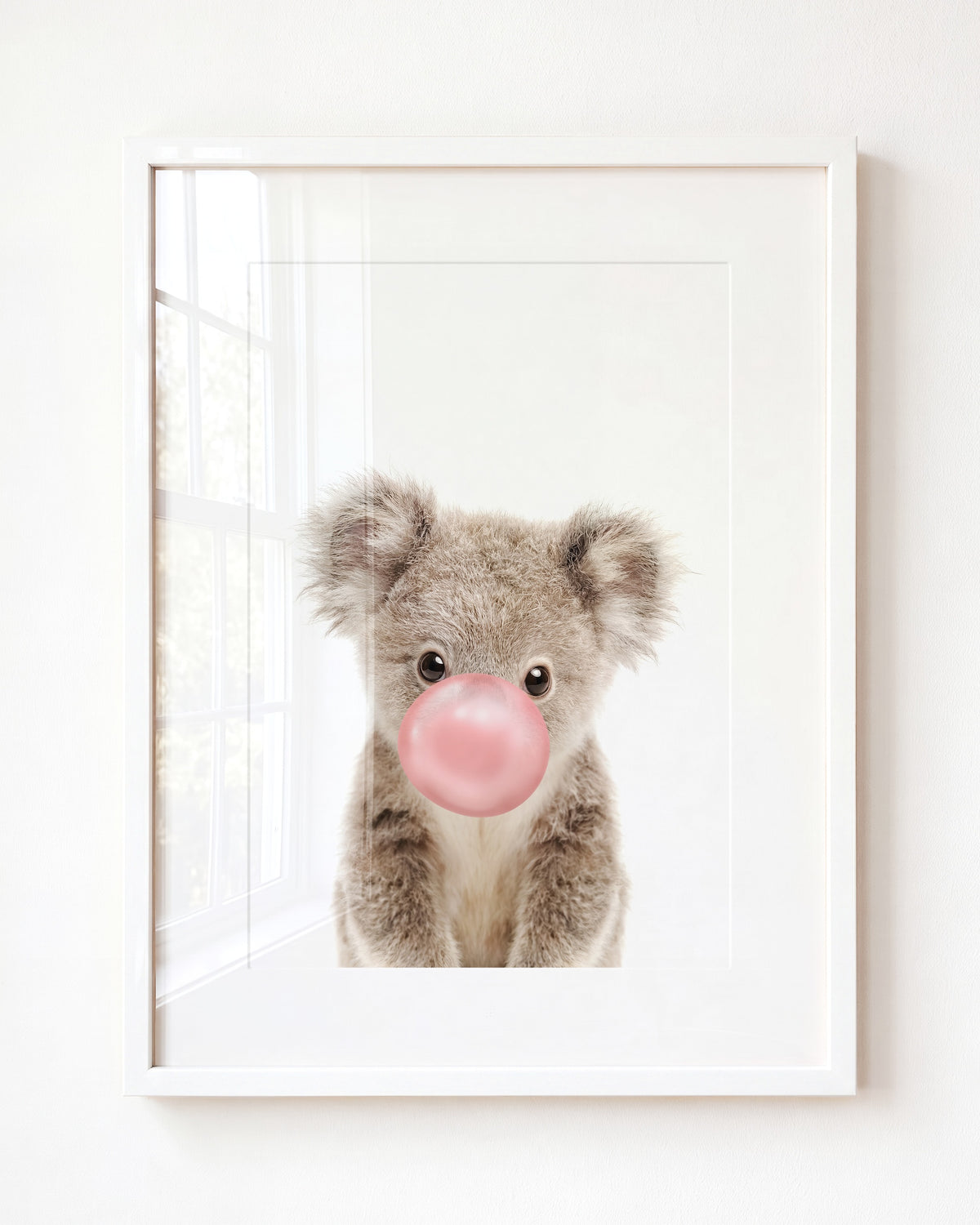Baby Koala