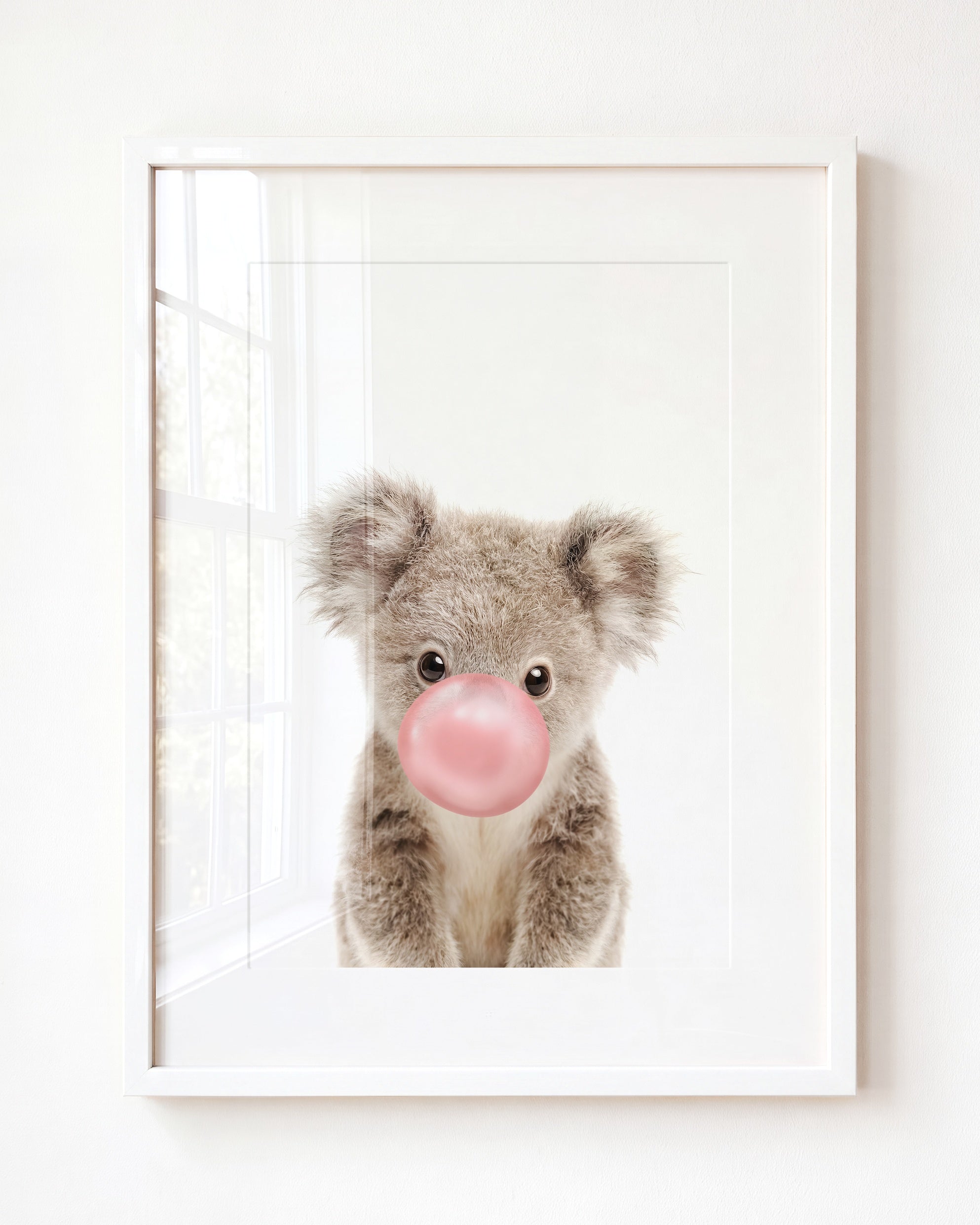 Baby Koala
