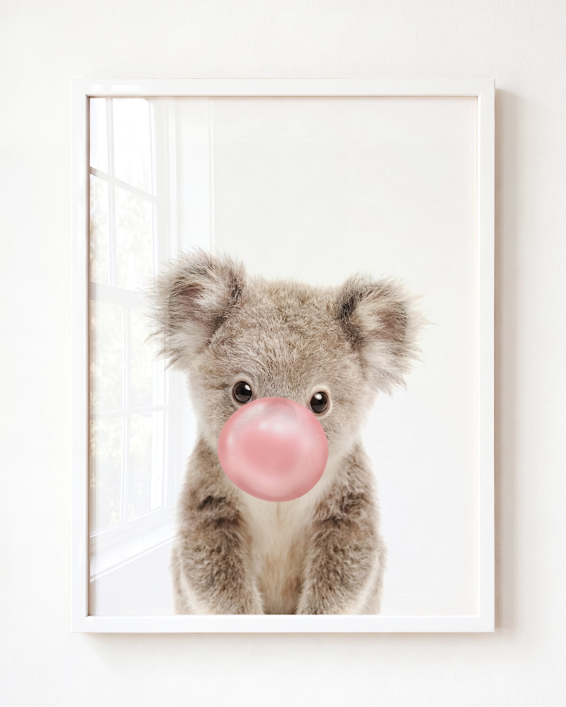 Baby Koala