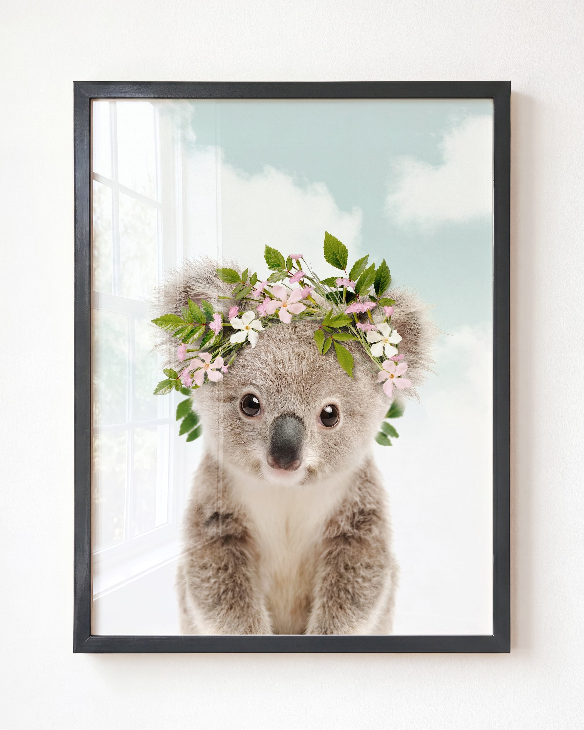 Baby Koala