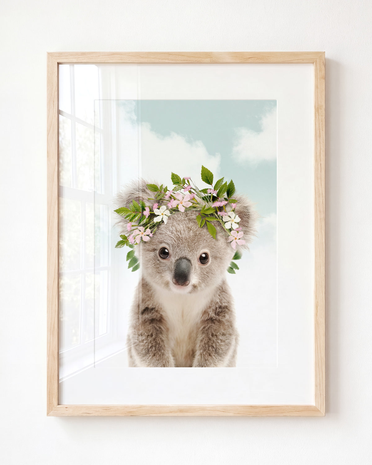 Baby Koala