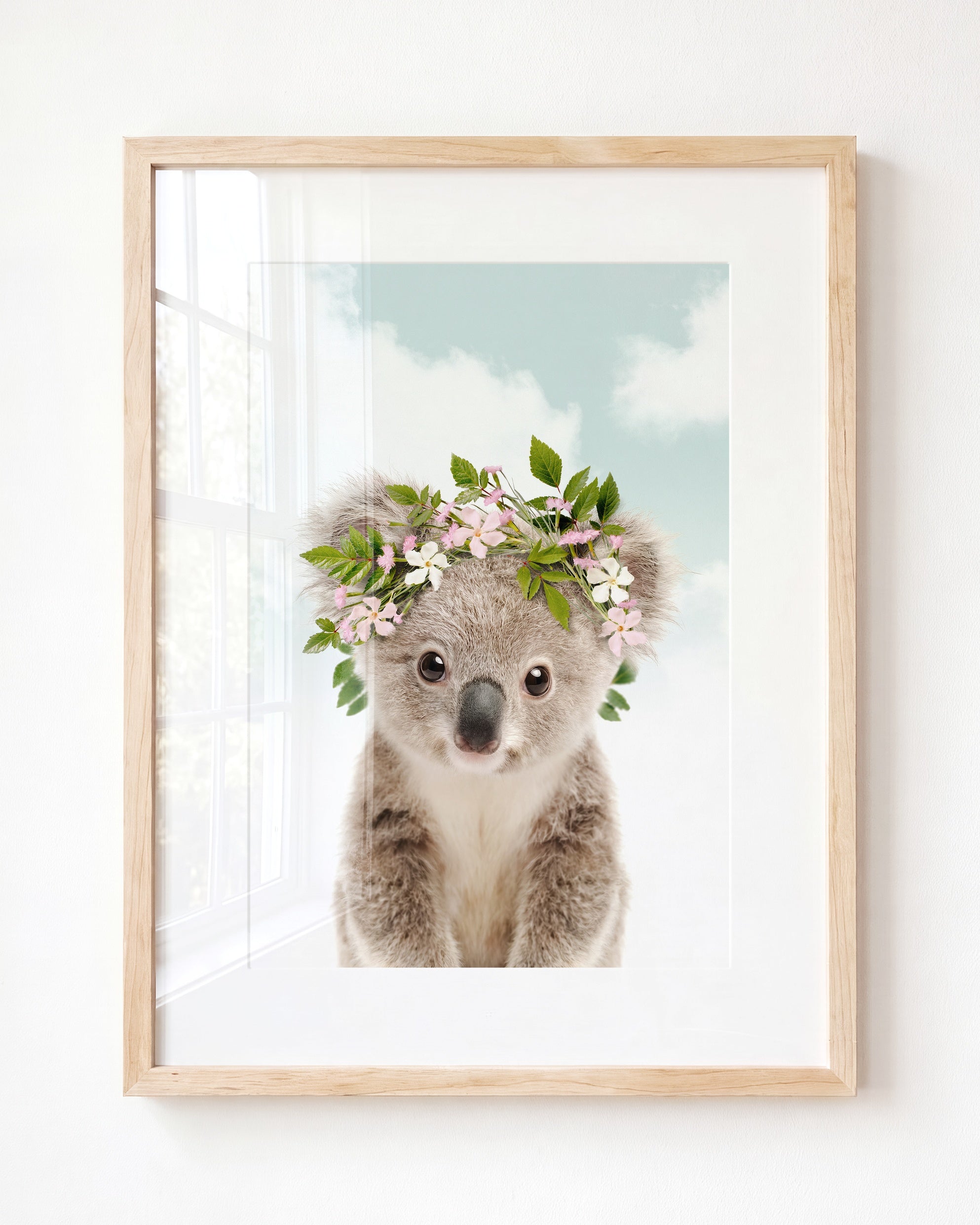 Baby Koala