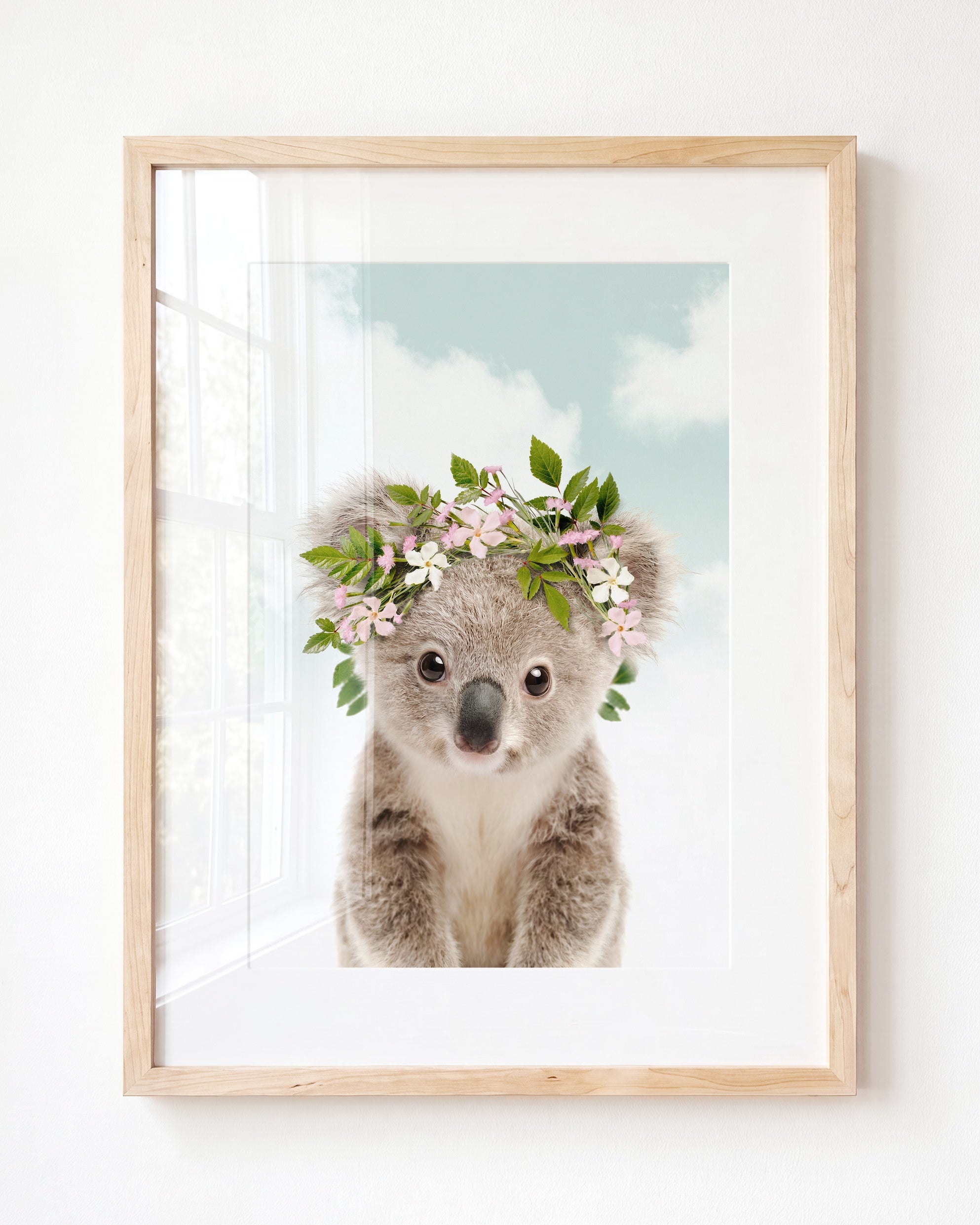 Baby Koala