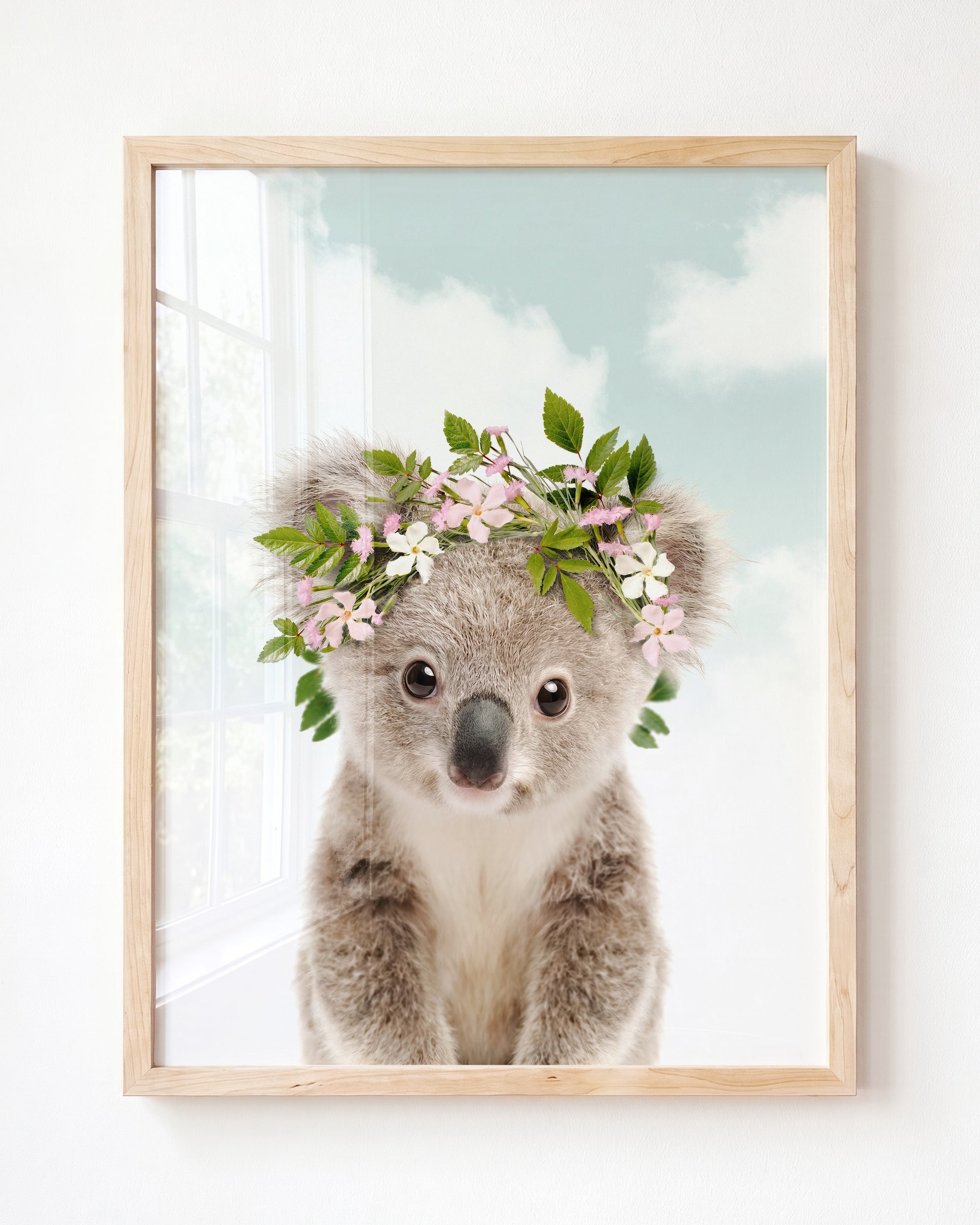 Baby Koala