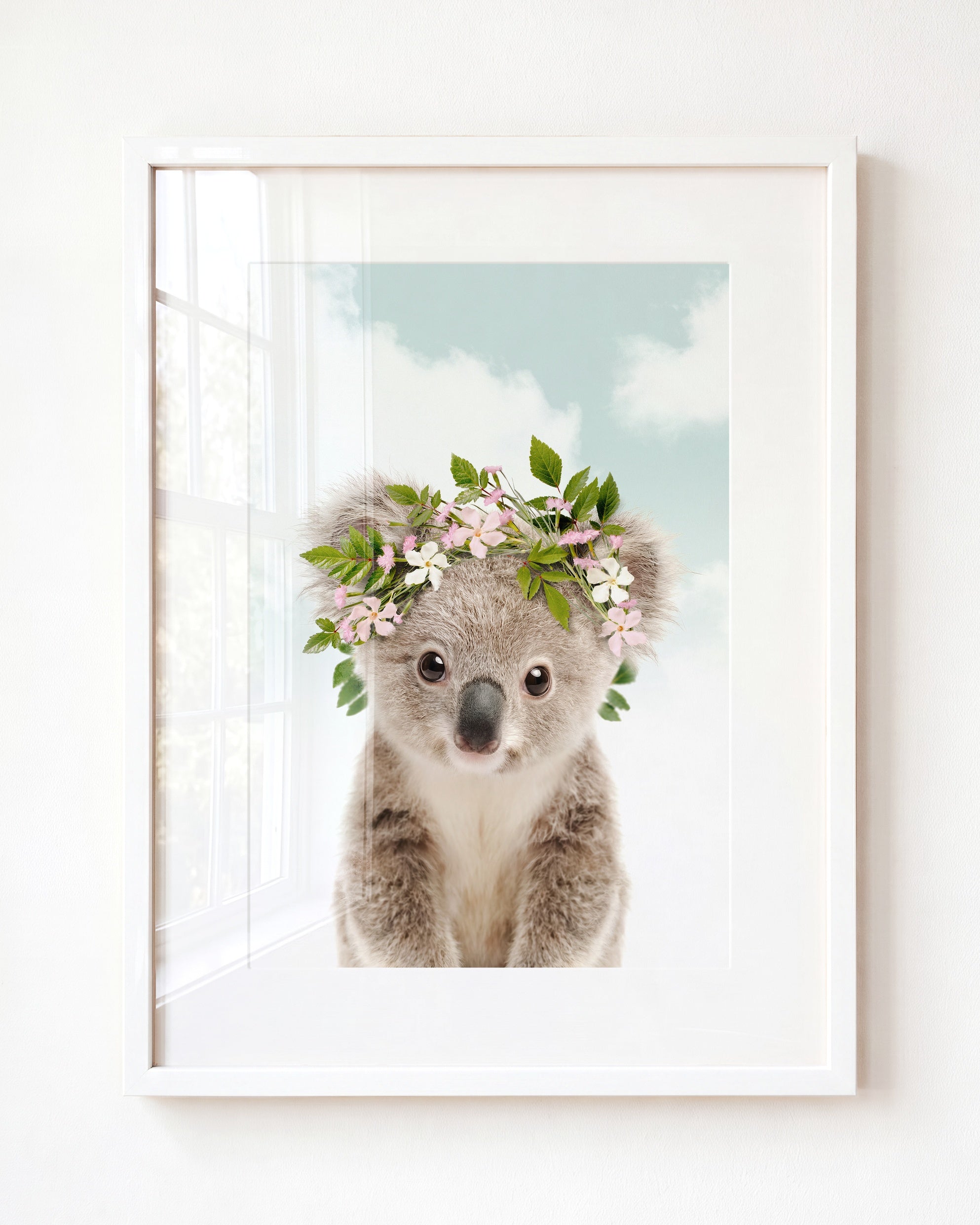 Baby Koala