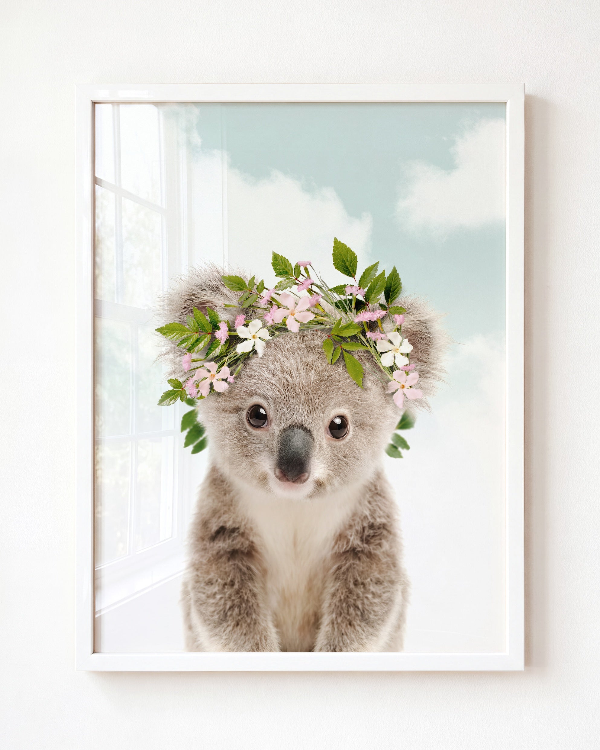 Baby Koala