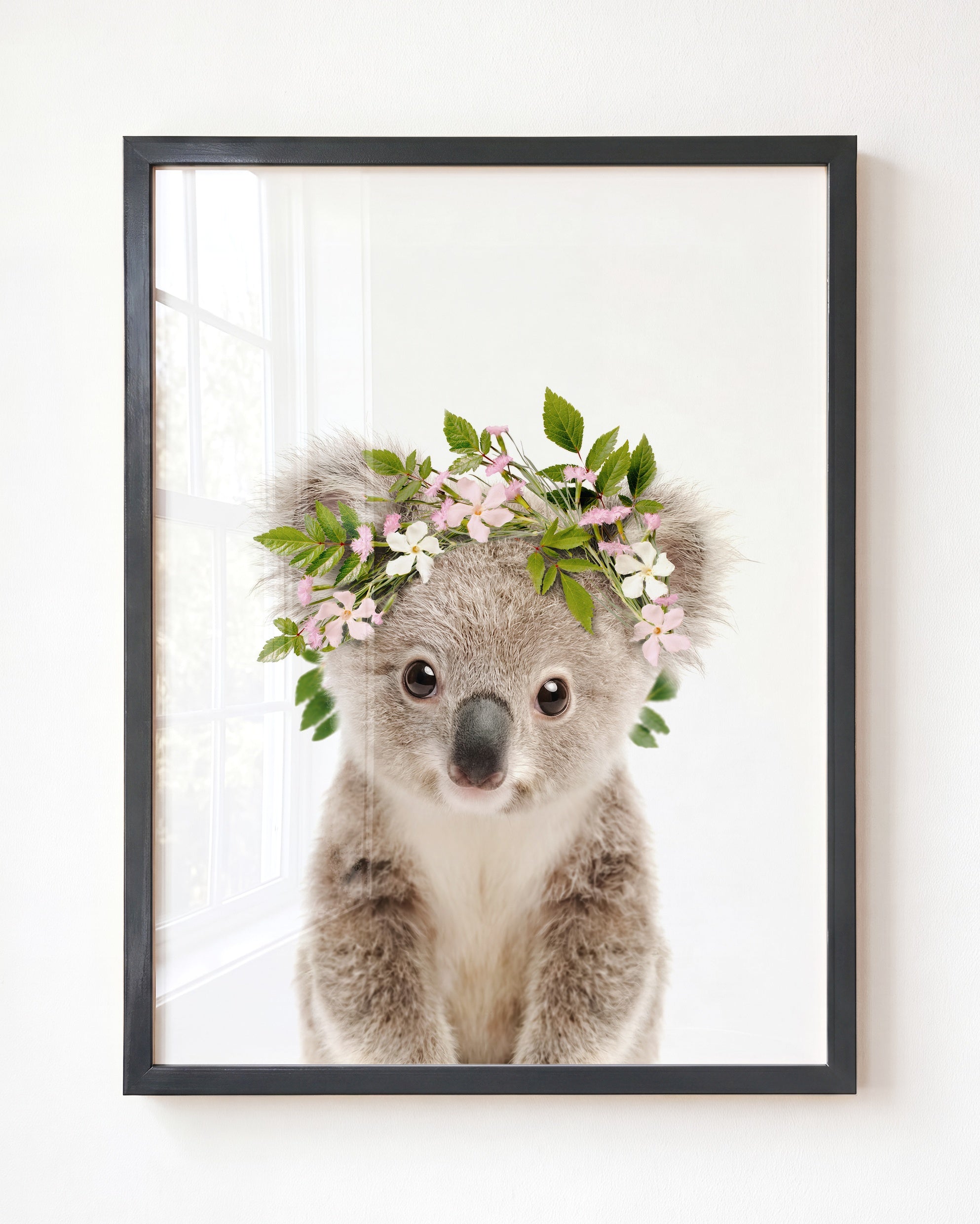 Baby Koala