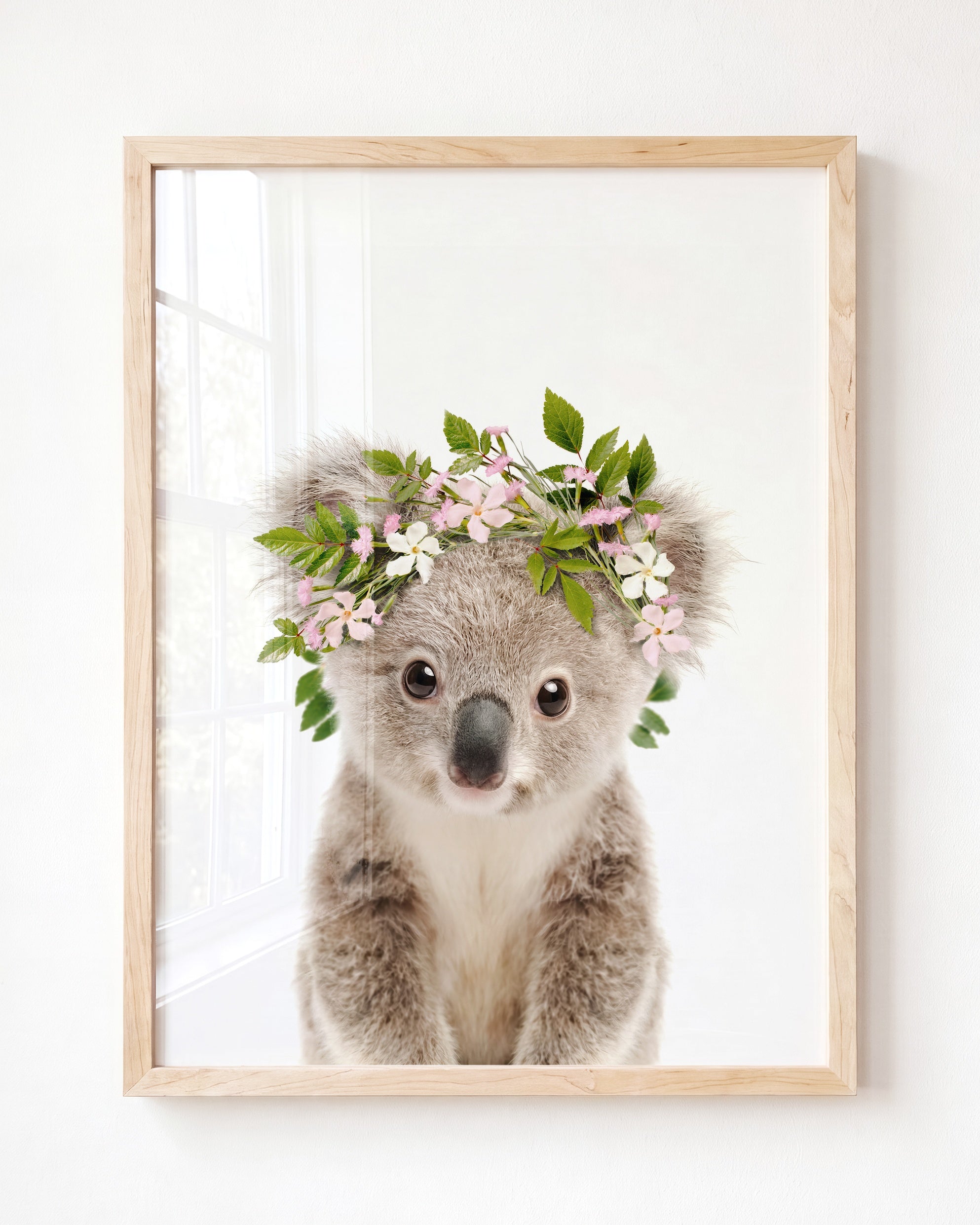 Baby Koala