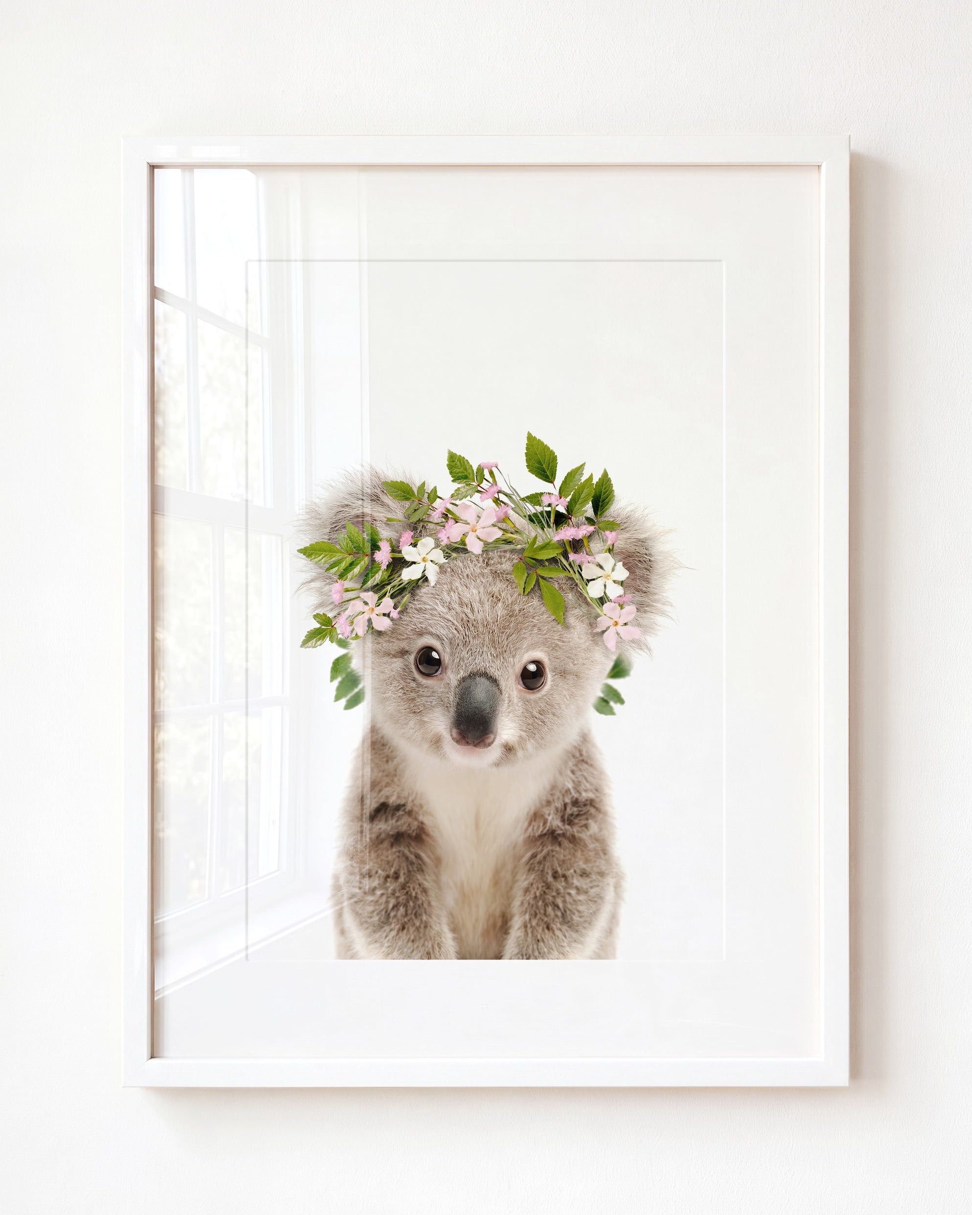 Baby Koala
