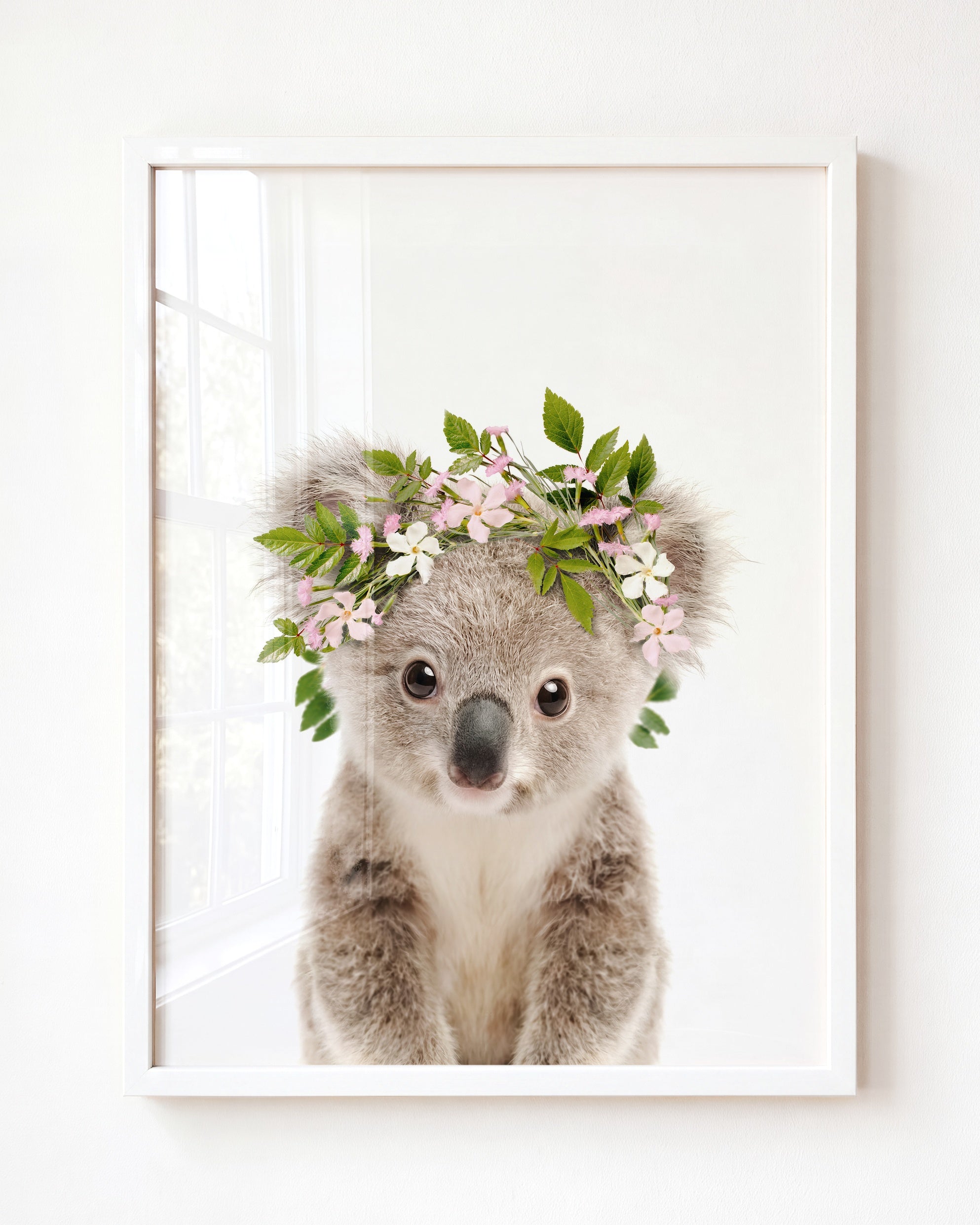 Baby Koala