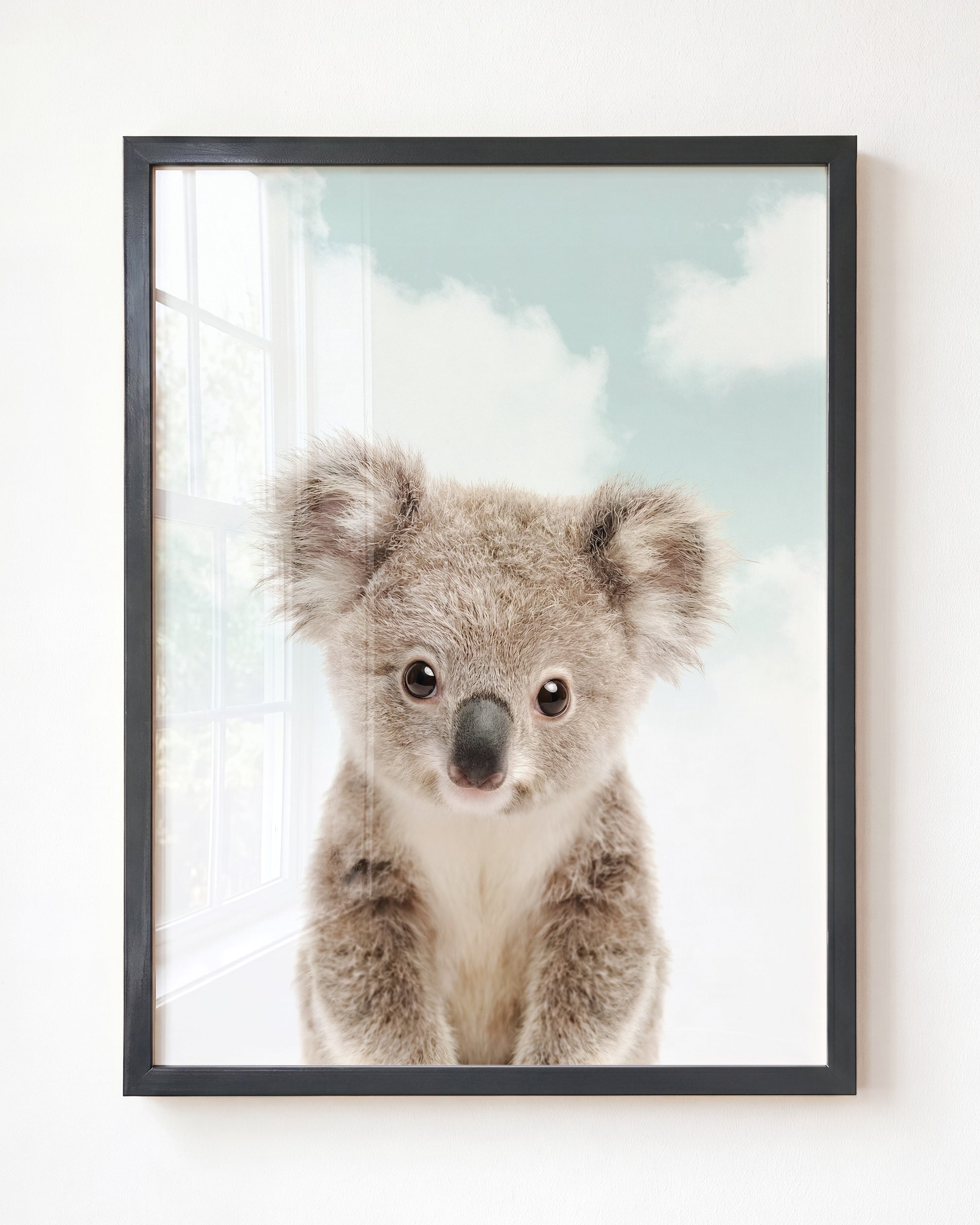 Baby Koala
