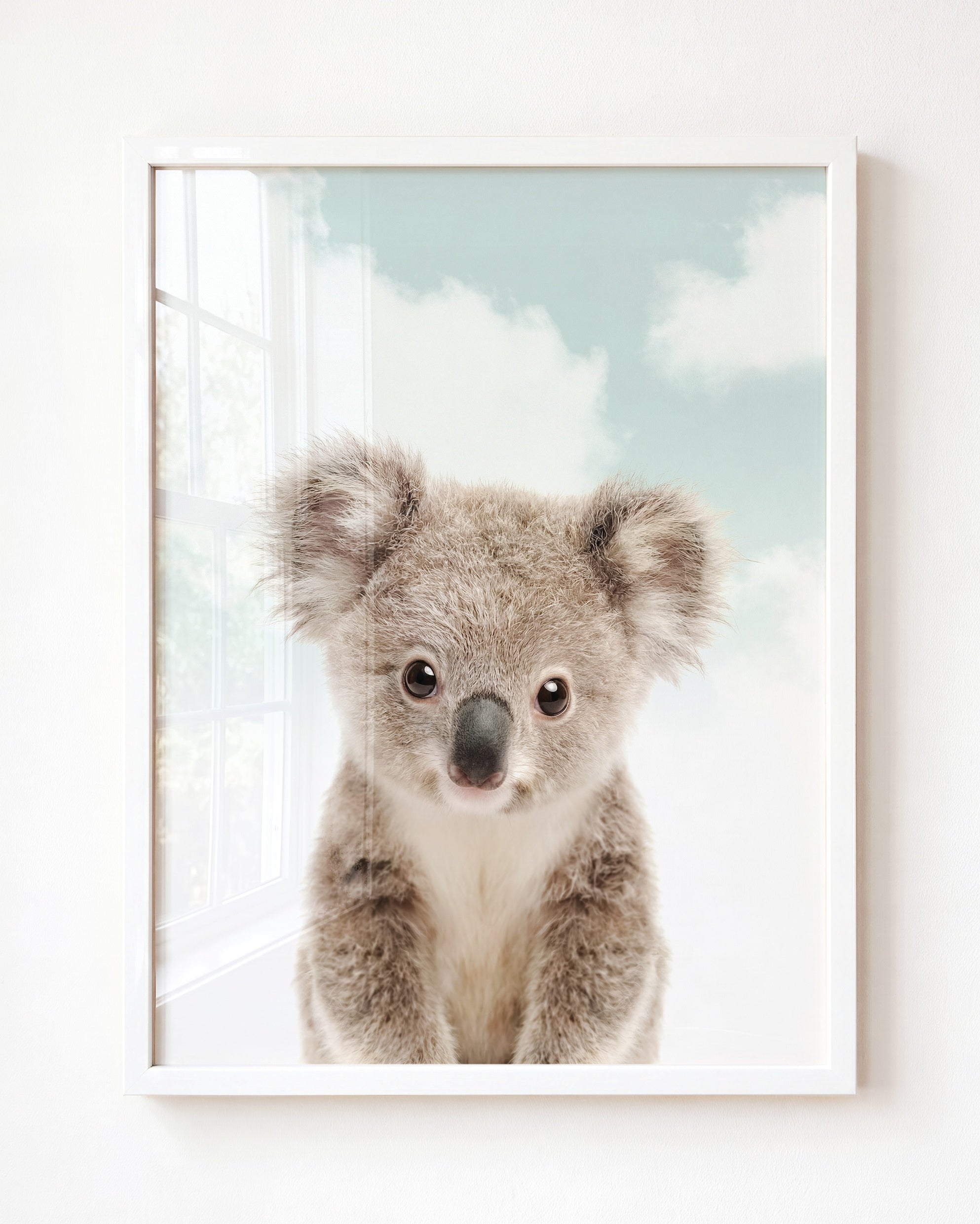 Baby Koala