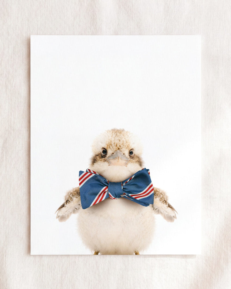Bow Tie