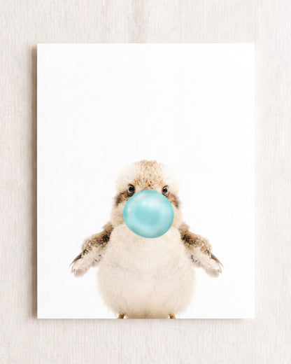 Baby Kookaburra