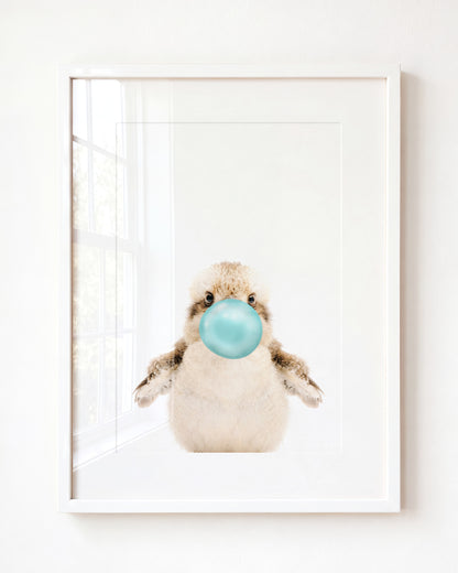 Baby Kookaburra