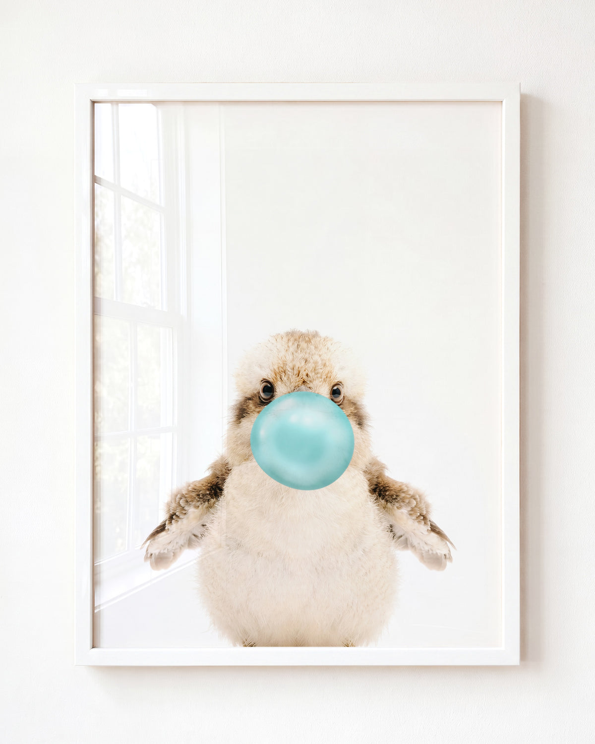 Baby Kookaburra