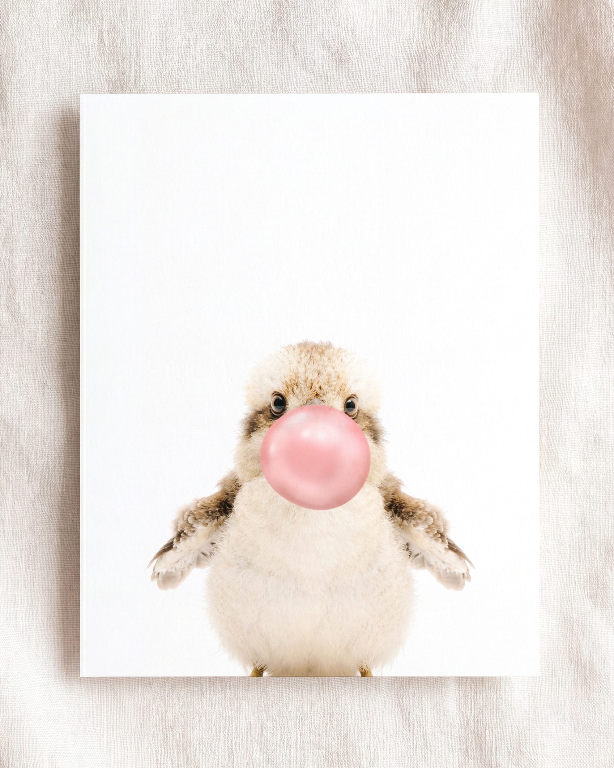 Baby Kookaburra