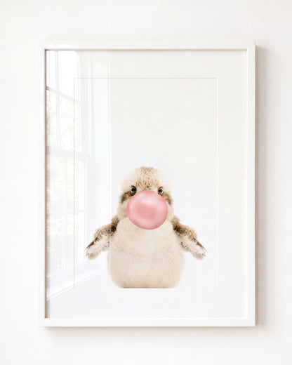 Baby Kookaburra