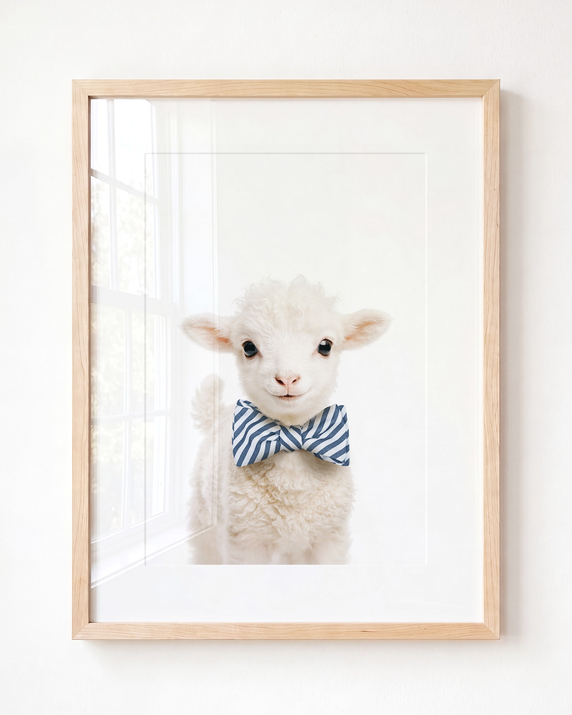 Baby Lamb