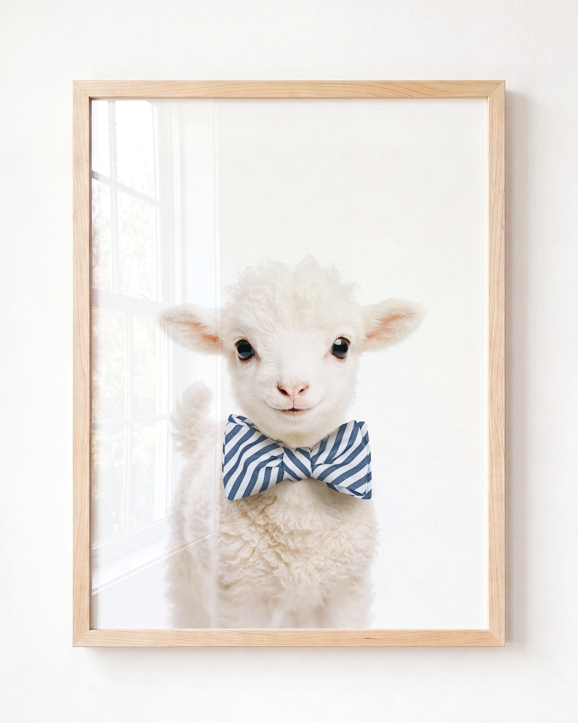 Baby Lamb