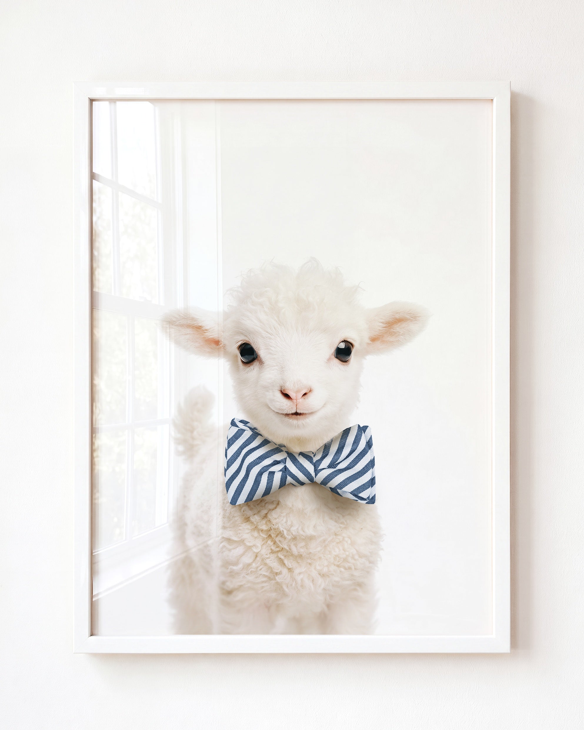 Baby Lamb