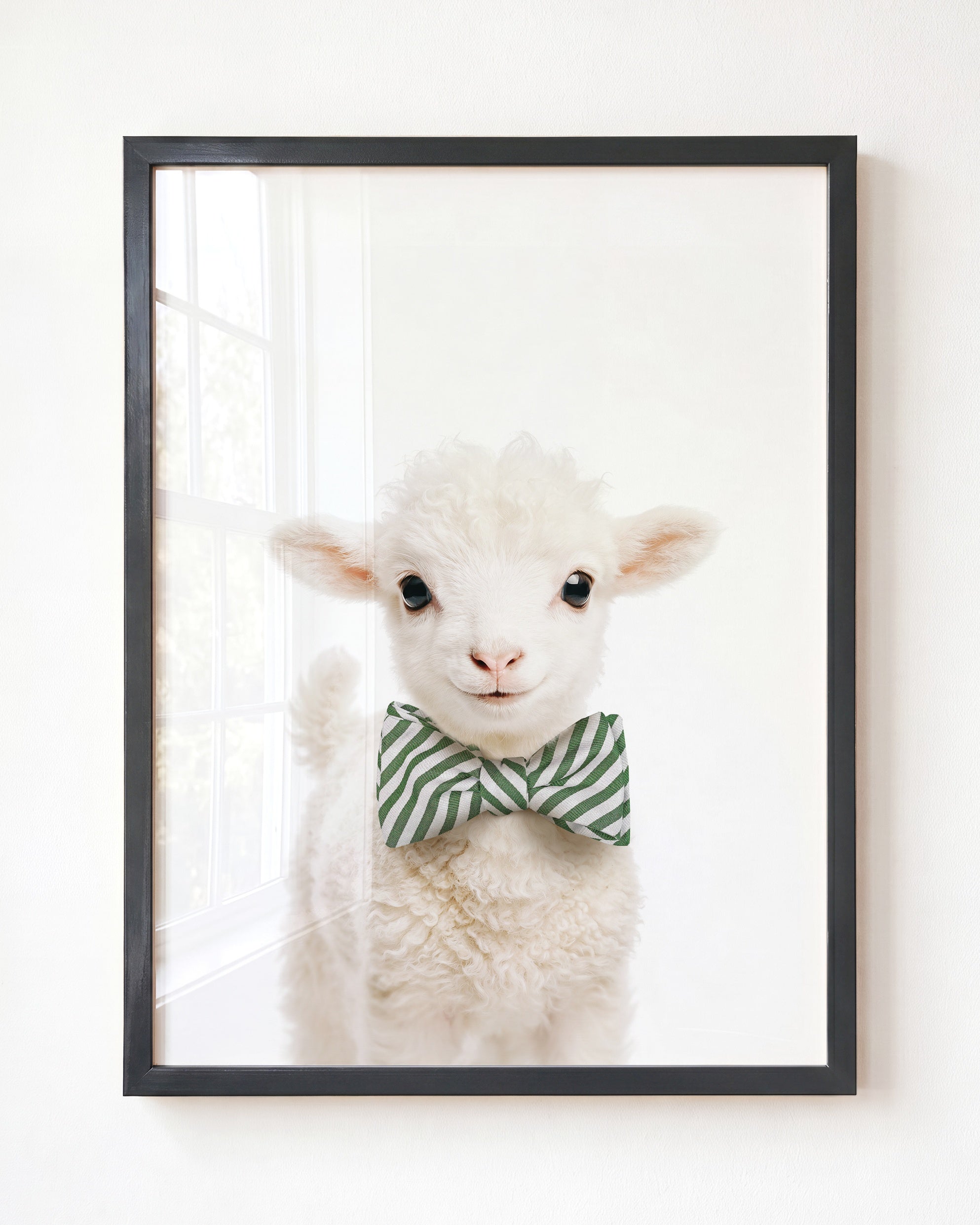 Baby Lamb