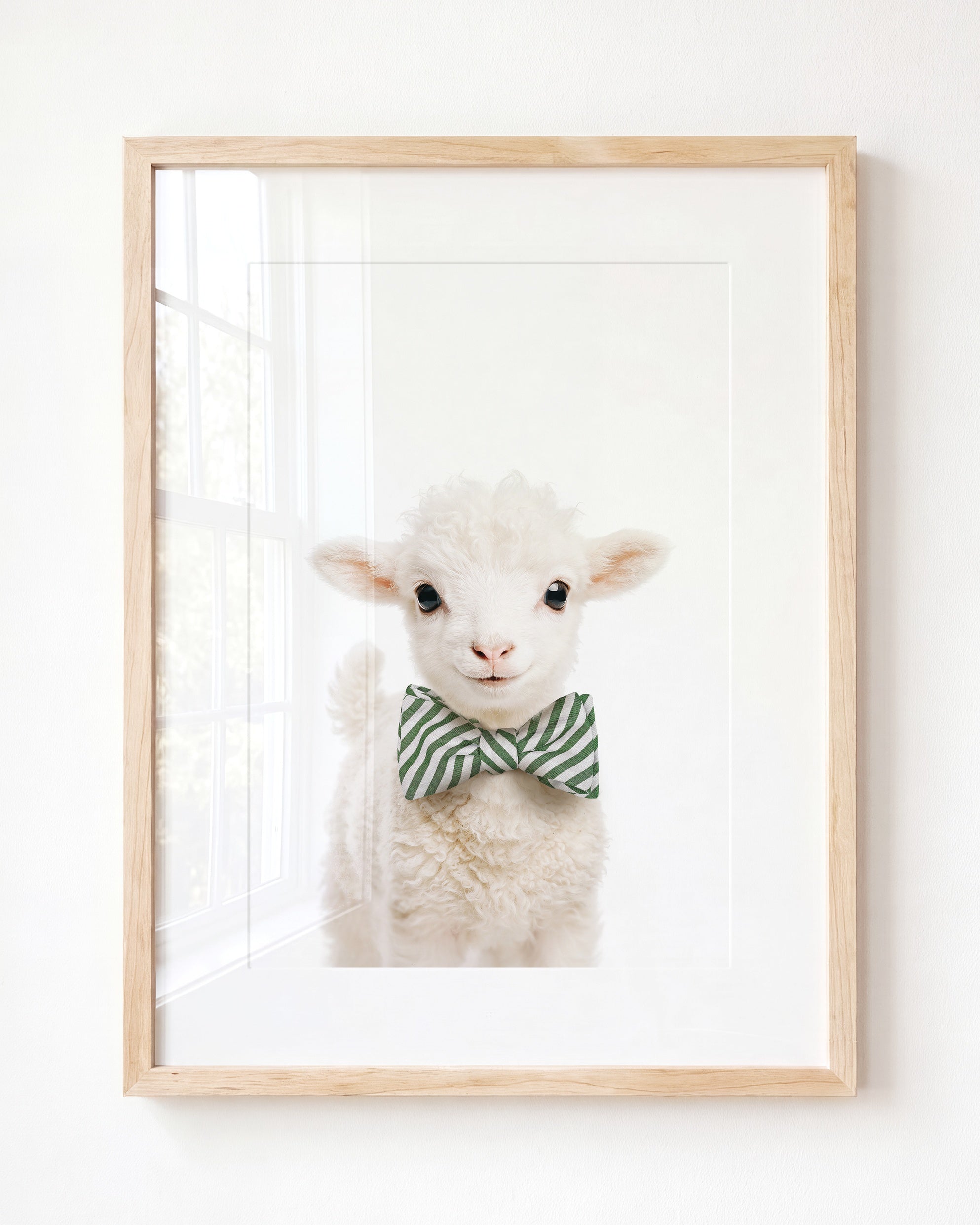 Baby Lamb