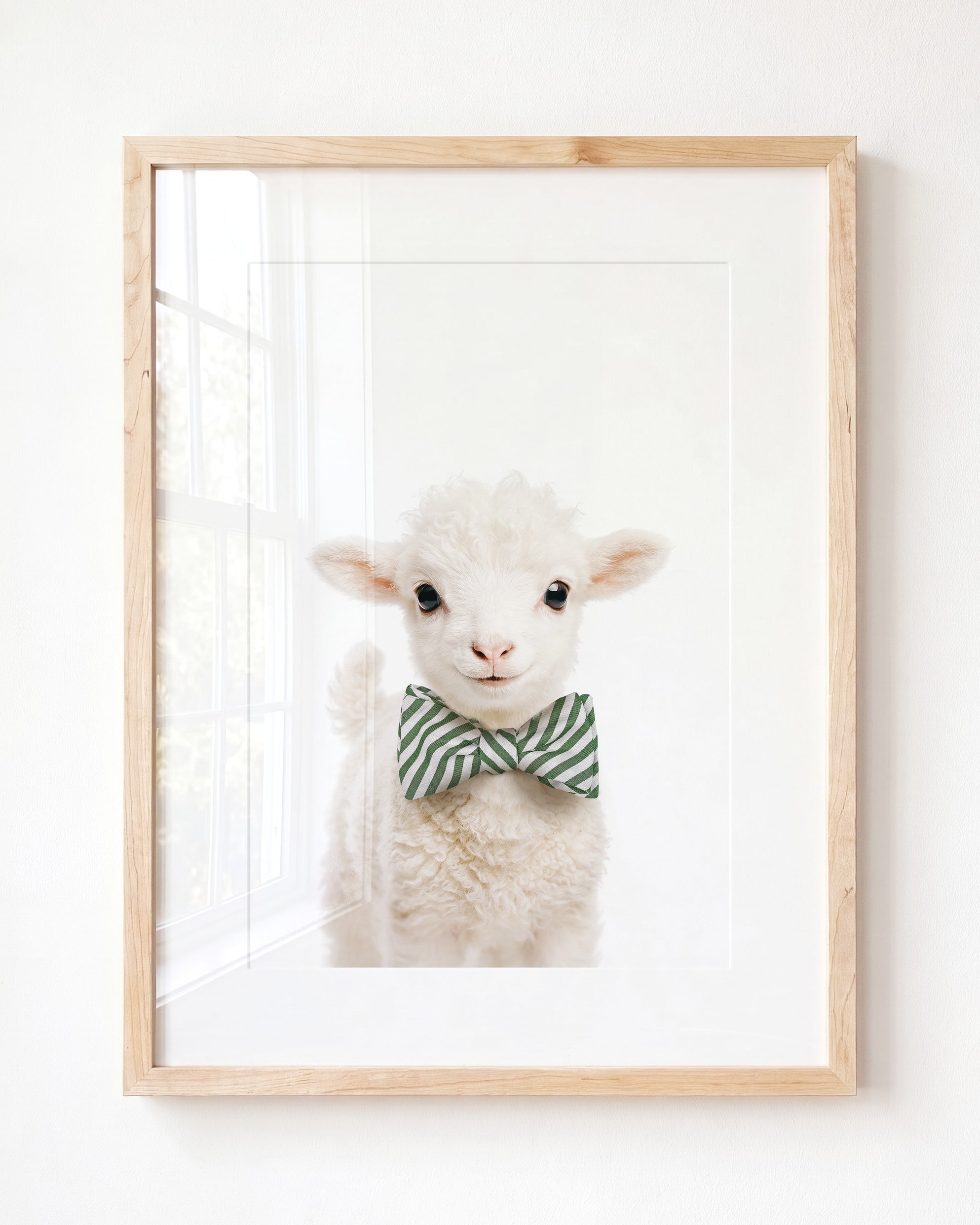 Baby Lamb