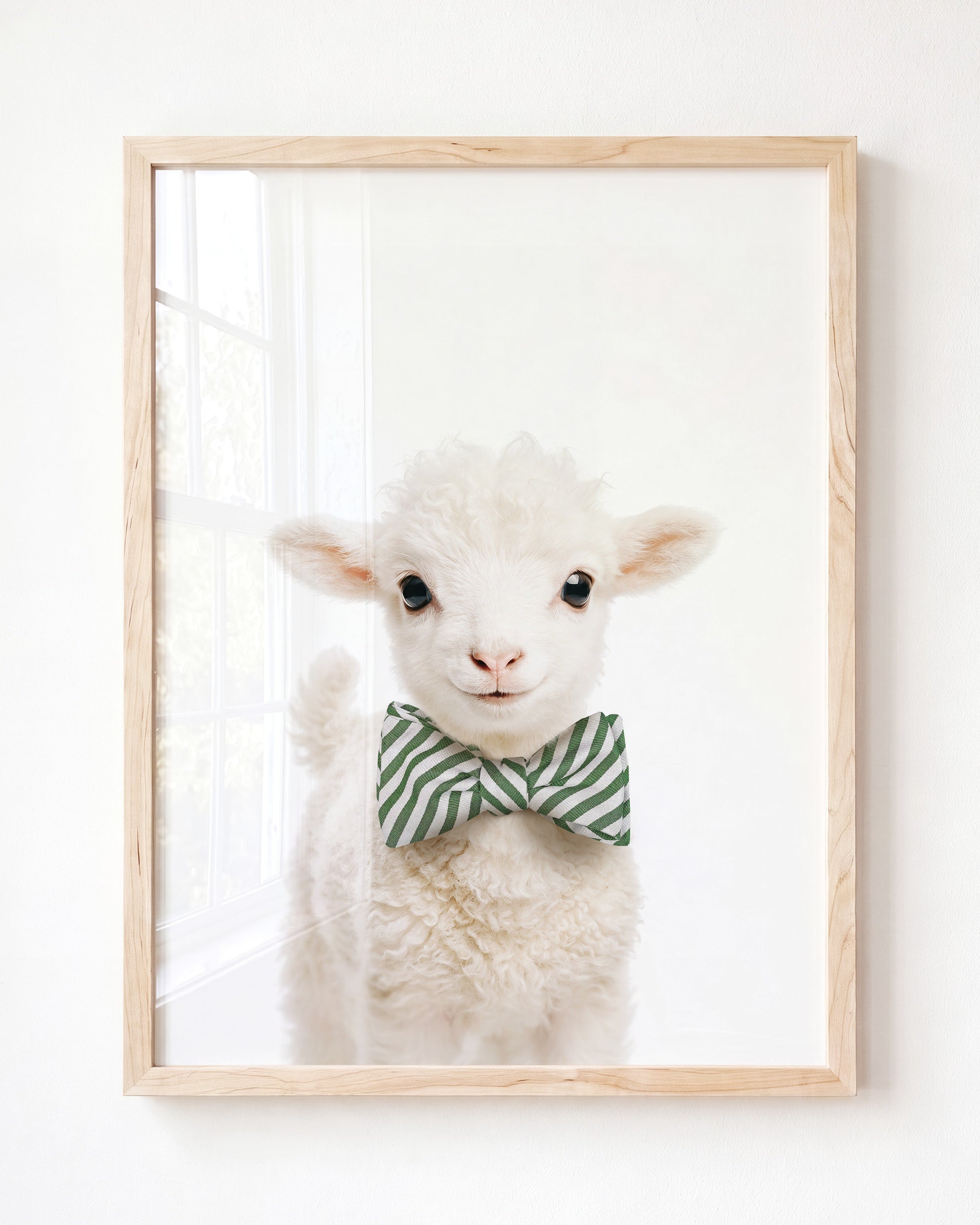 Baby Lamb