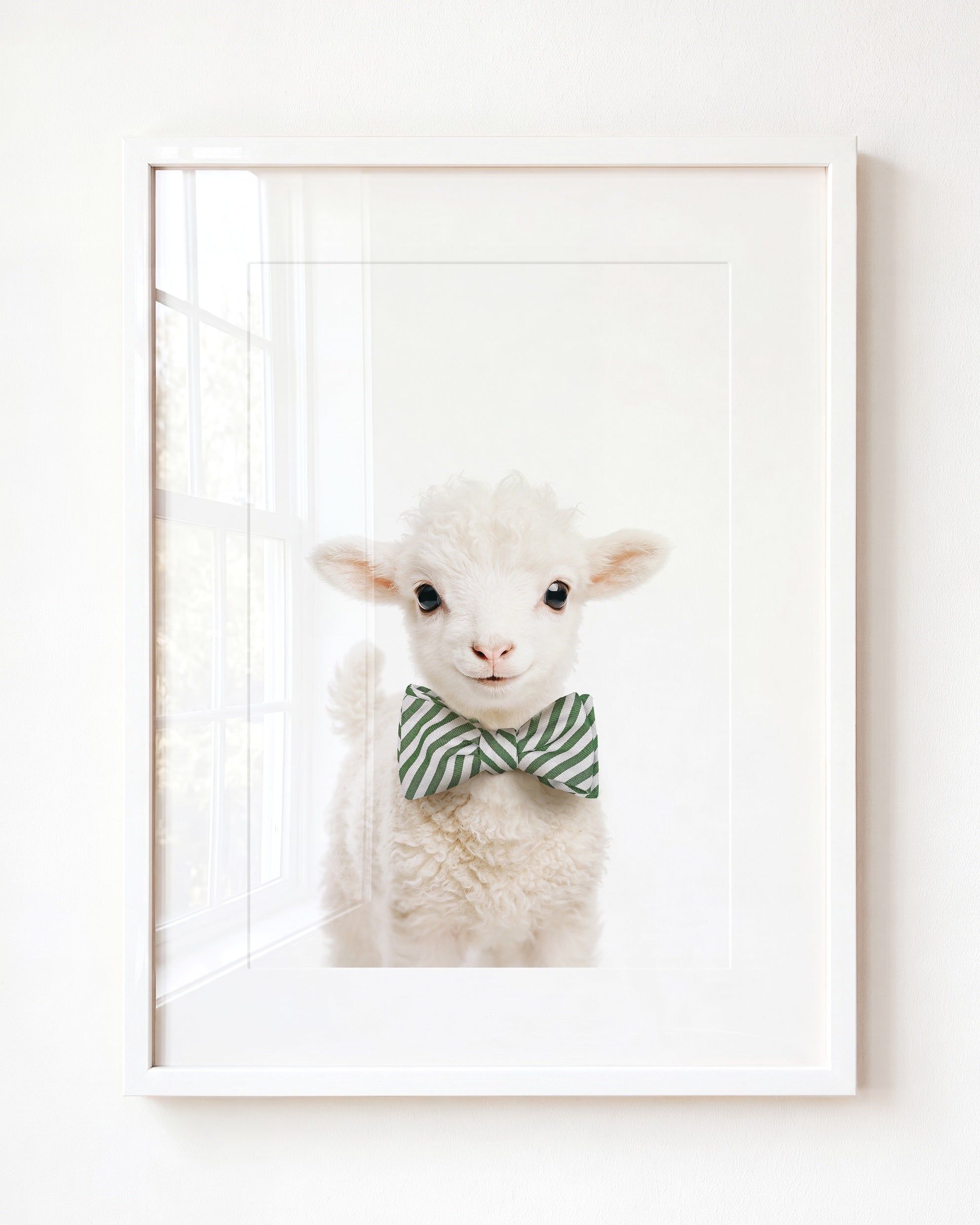 Baby Lamb
