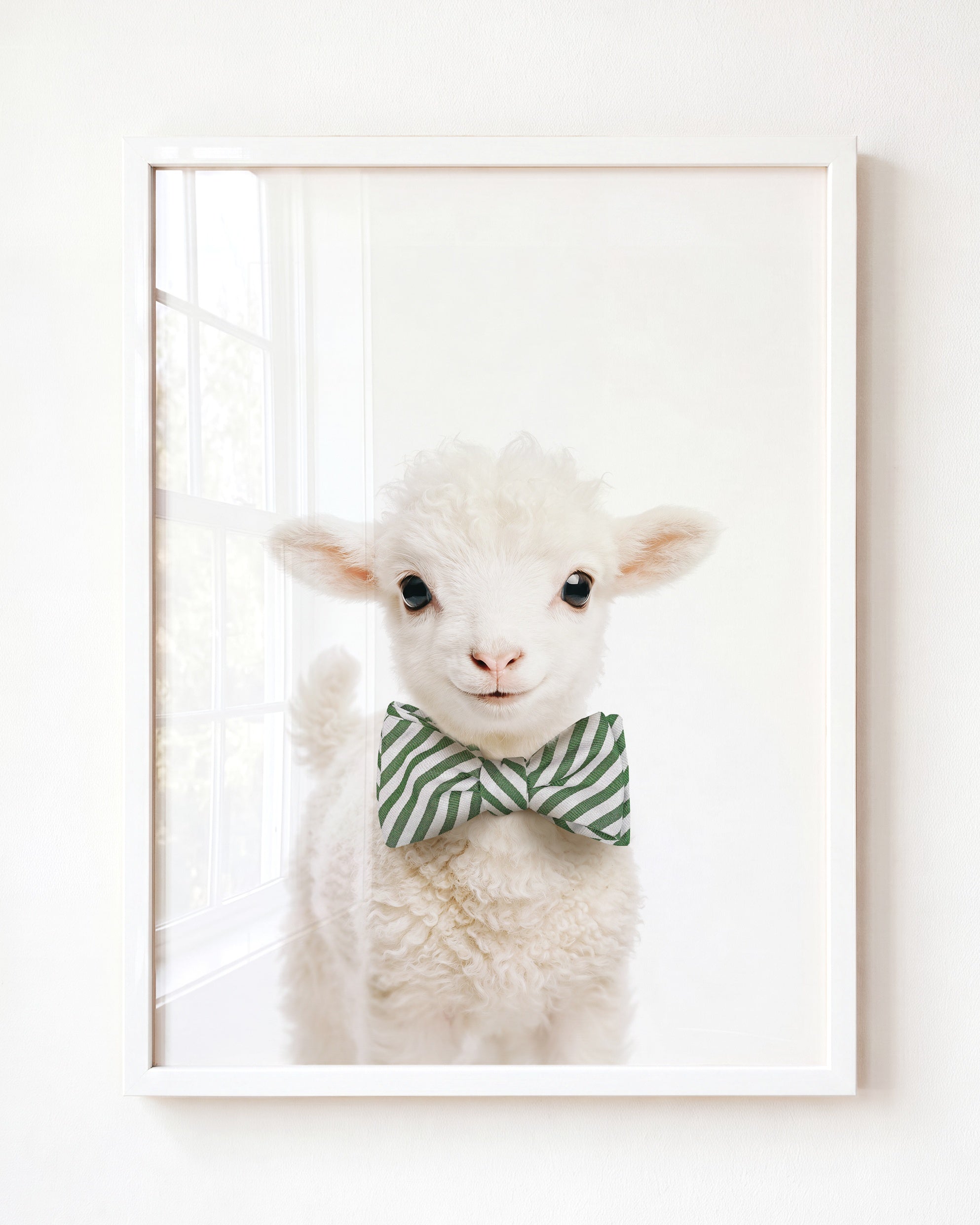 Baby Lamb