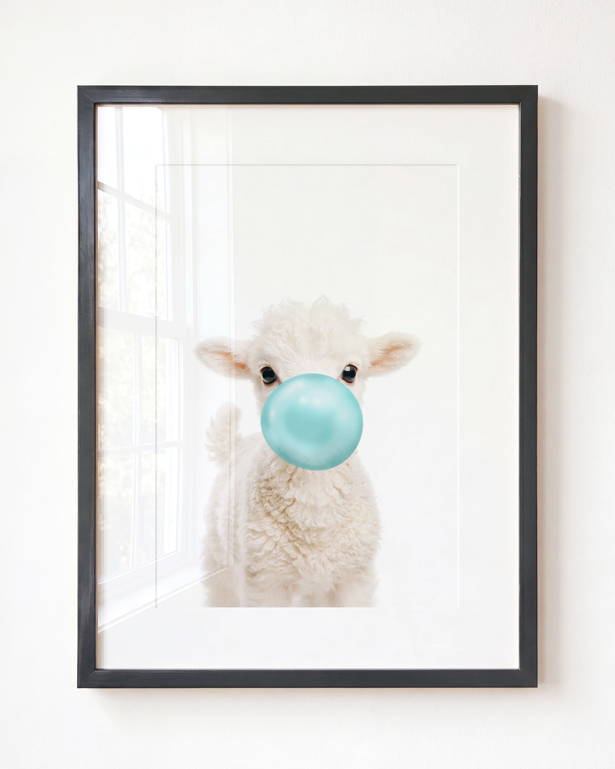Baby Lamb