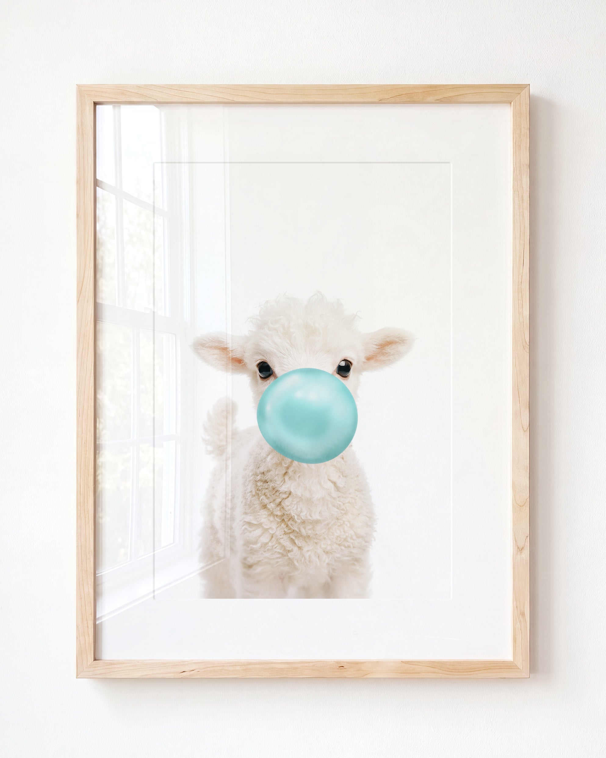Baby Lamb