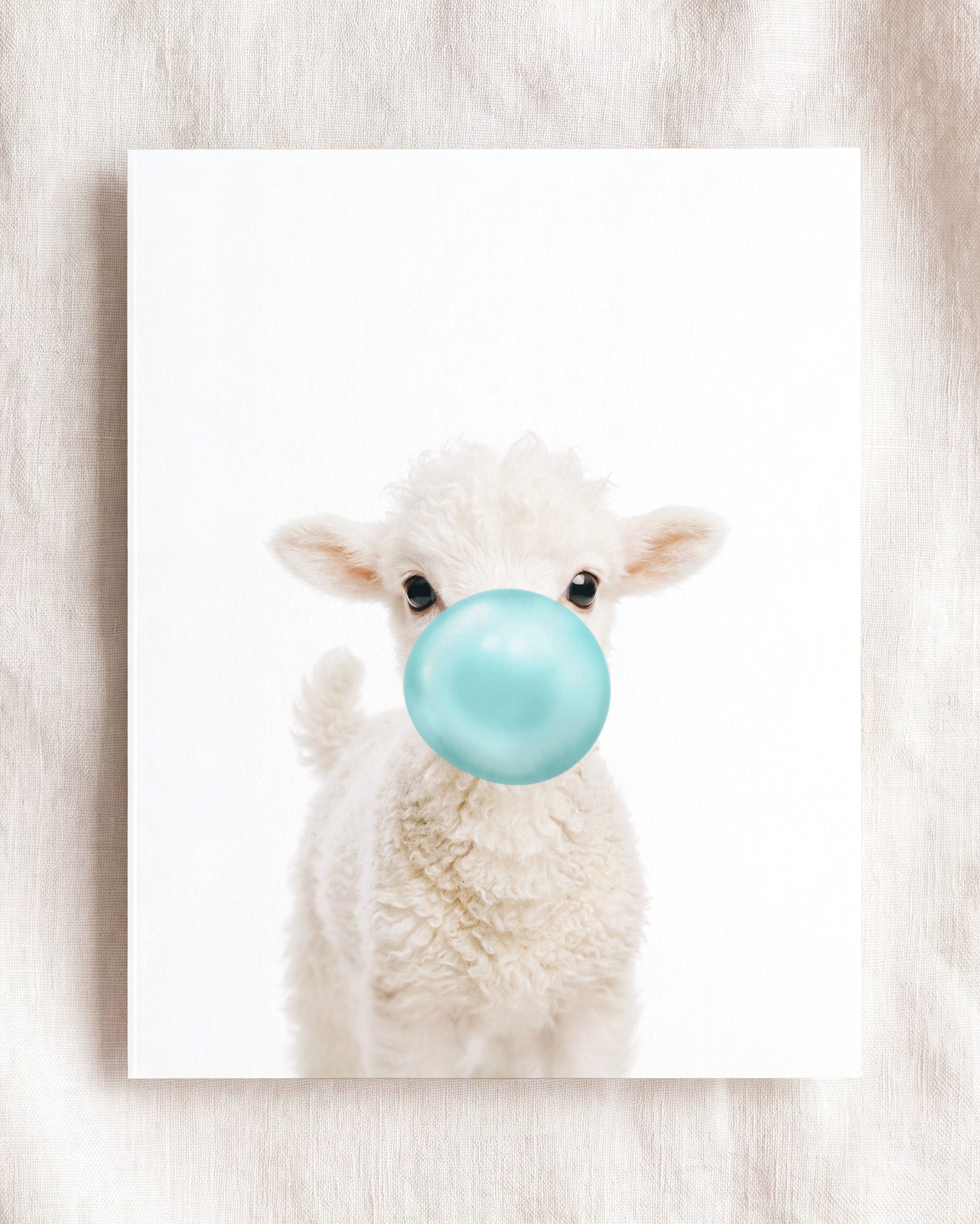 Baby Lamb