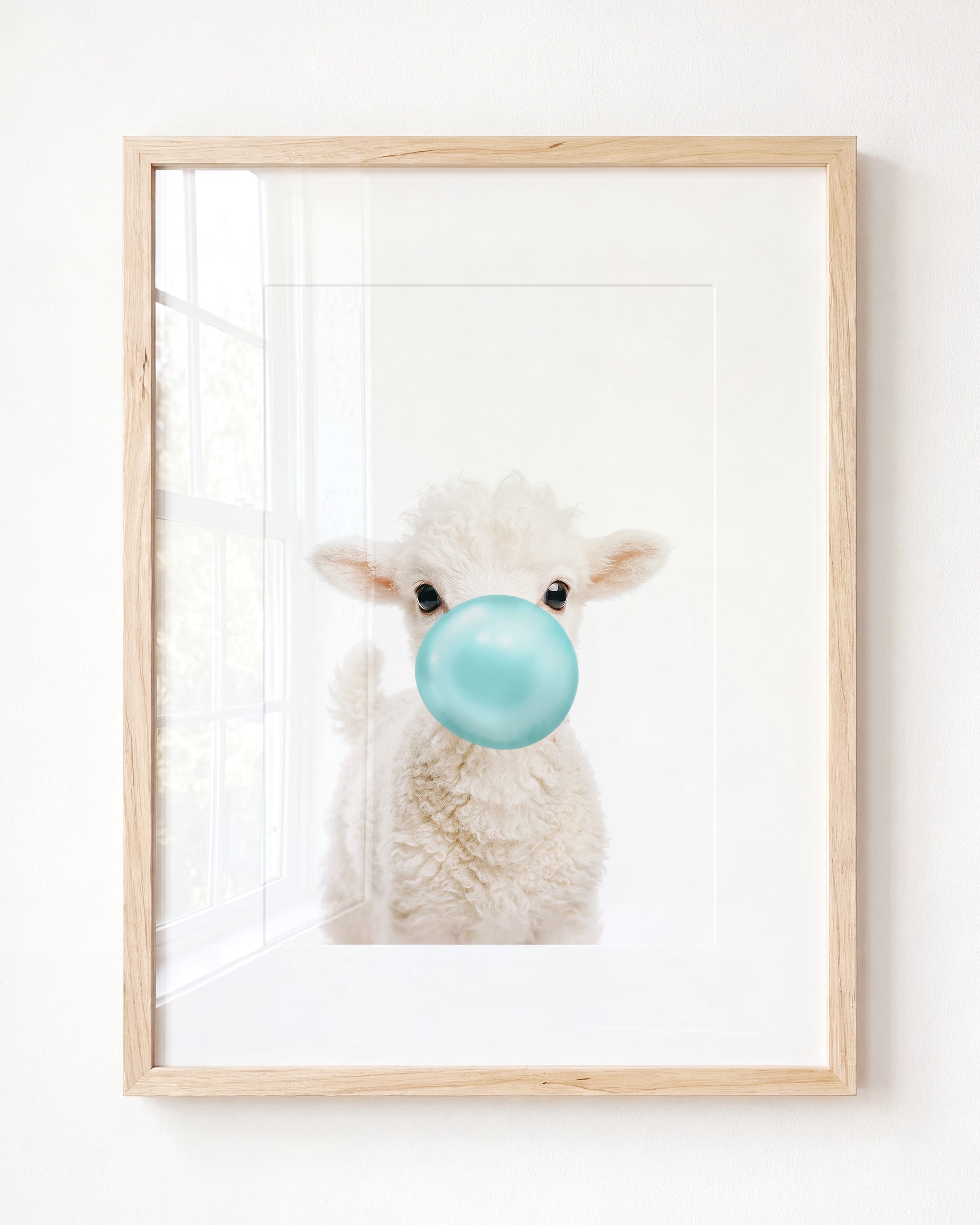 Baby Lamb