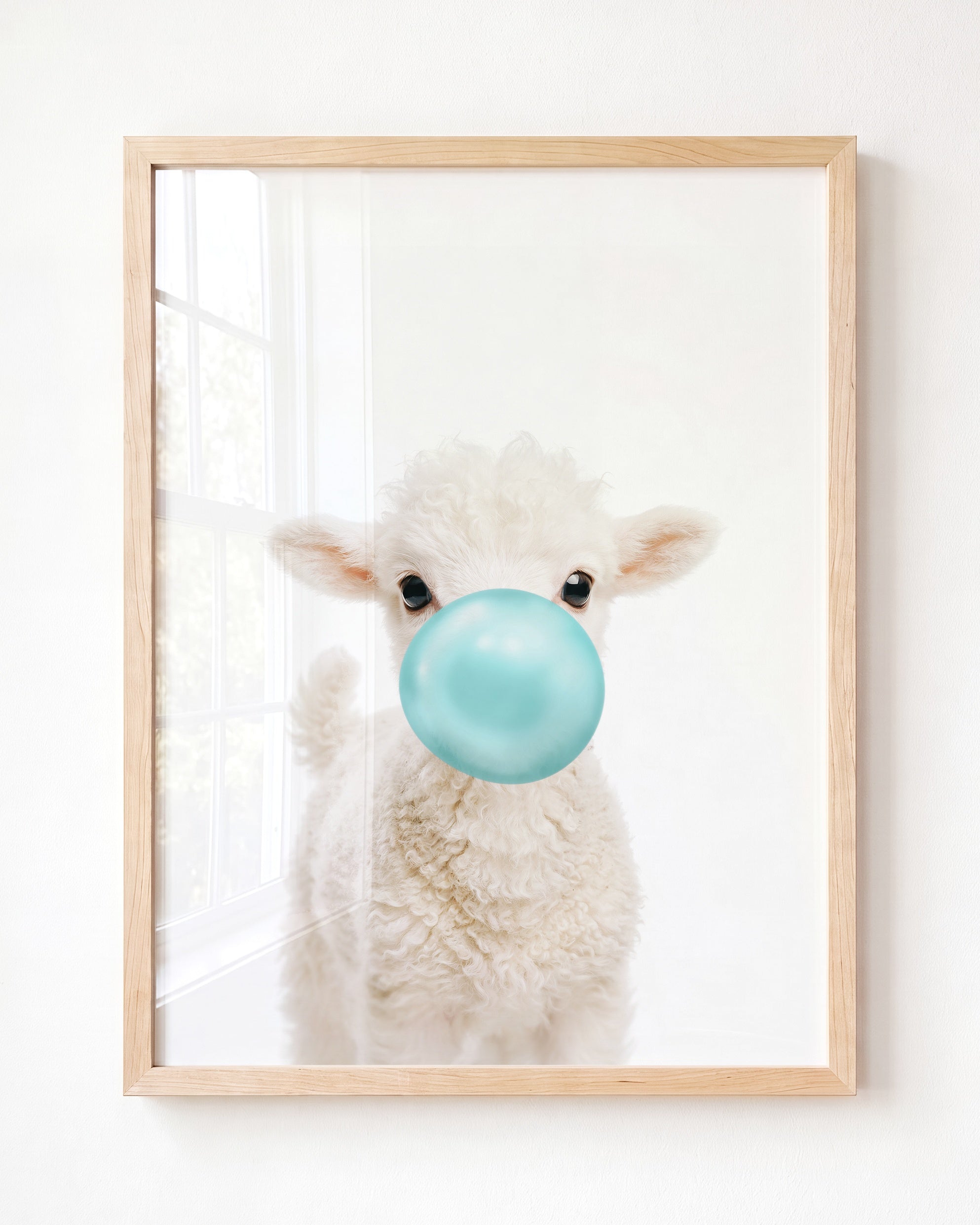 Baby Lamb