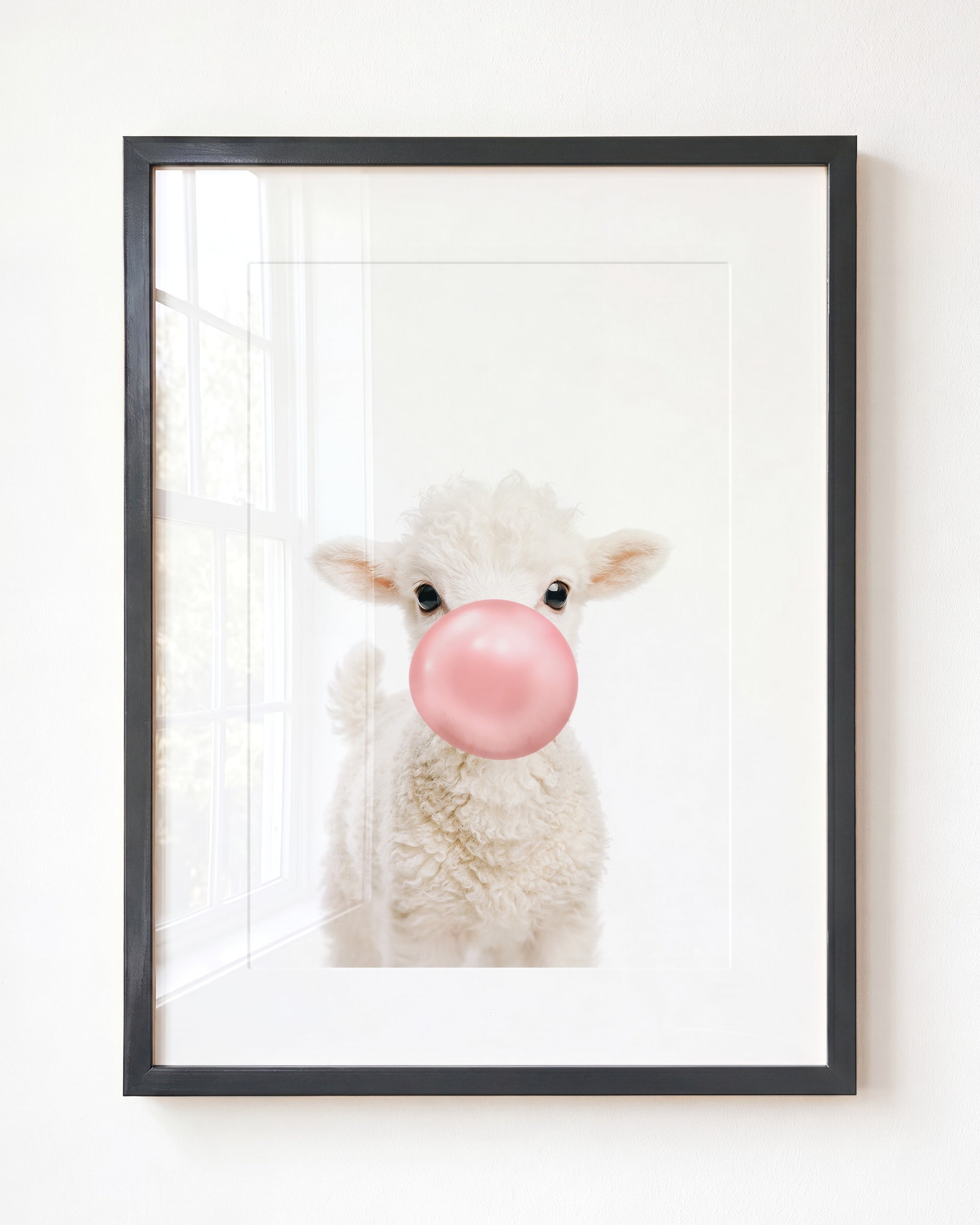 Baby Lamb