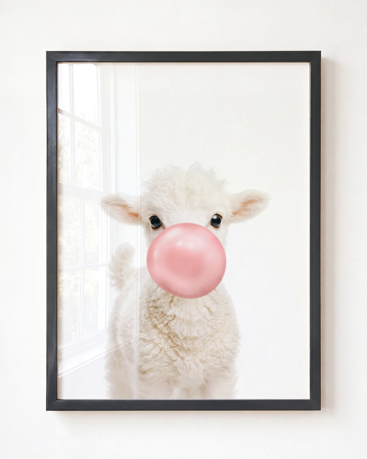 Baby Lamb