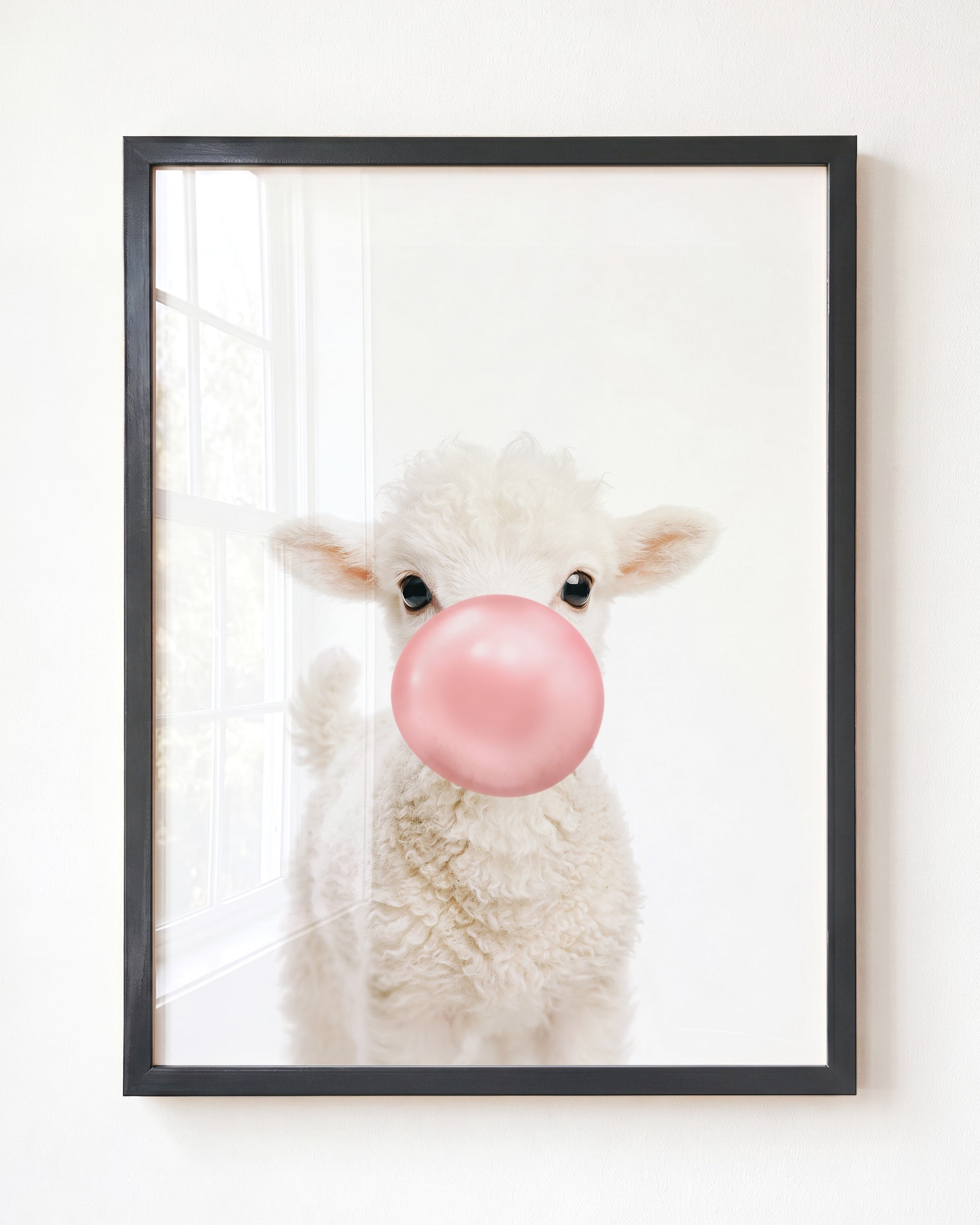 Baby Lamb