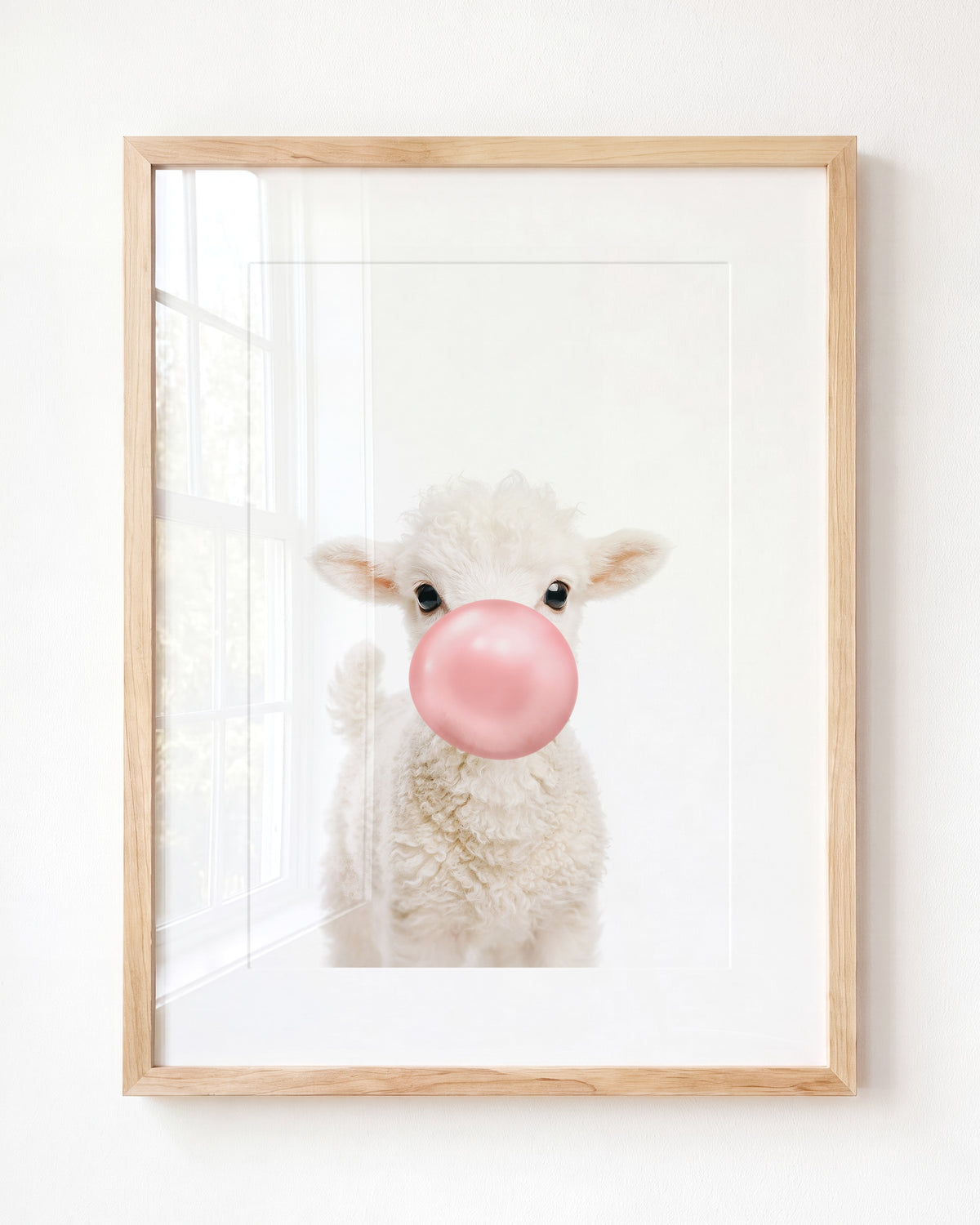 Baby Lamb