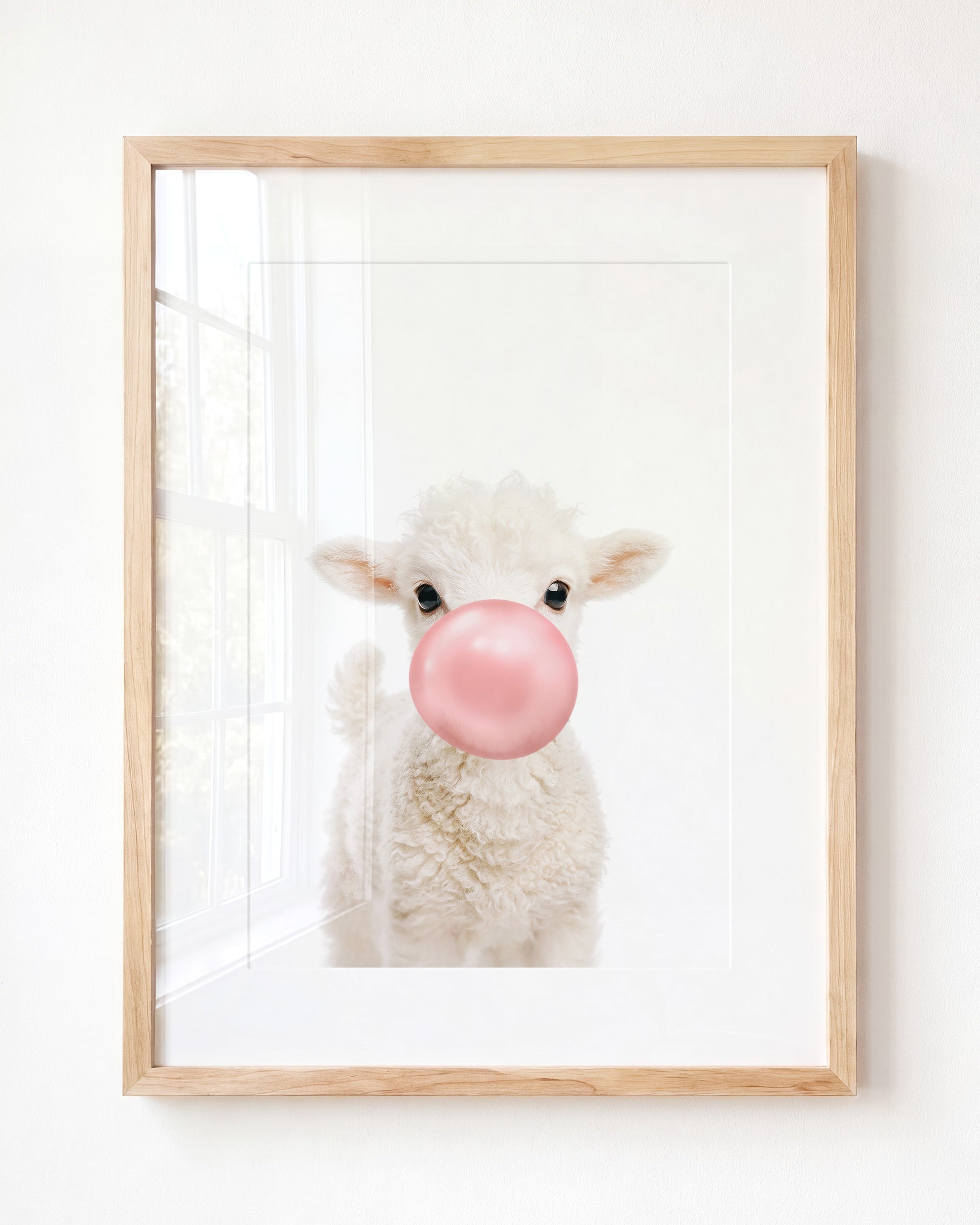 Baby Lamb