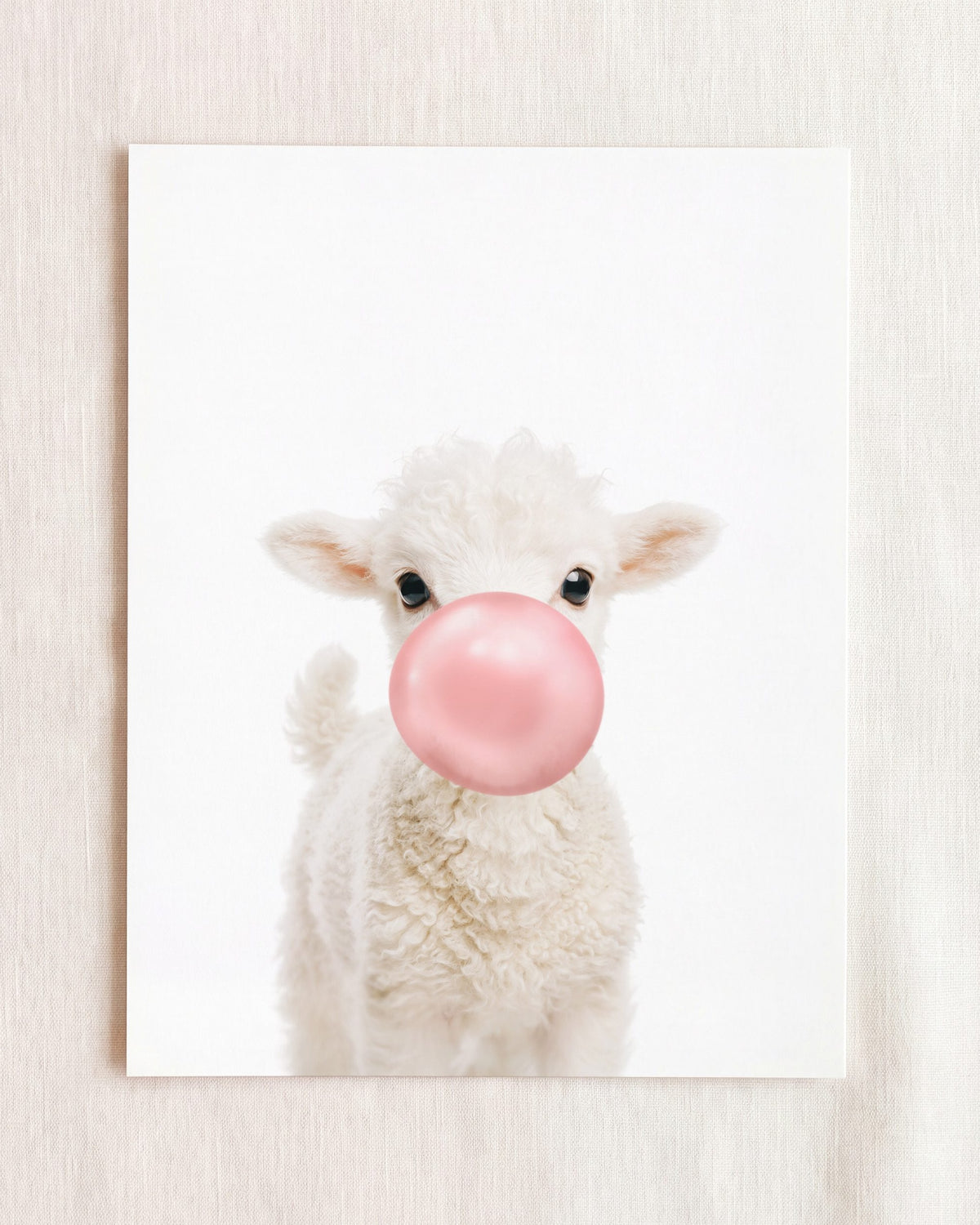 Baby Lamb