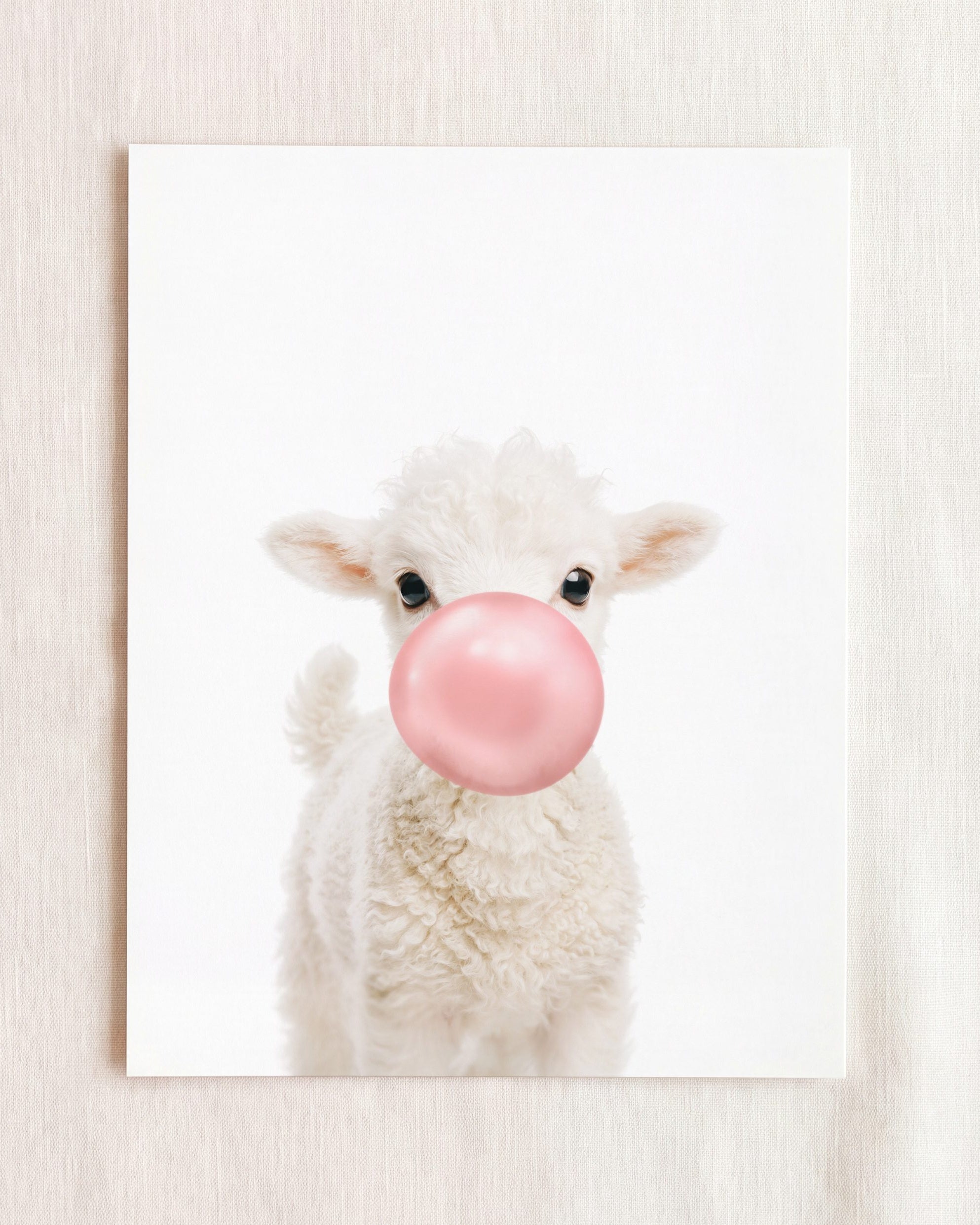 Baby Lamb