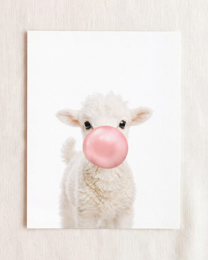 Baby Lamb