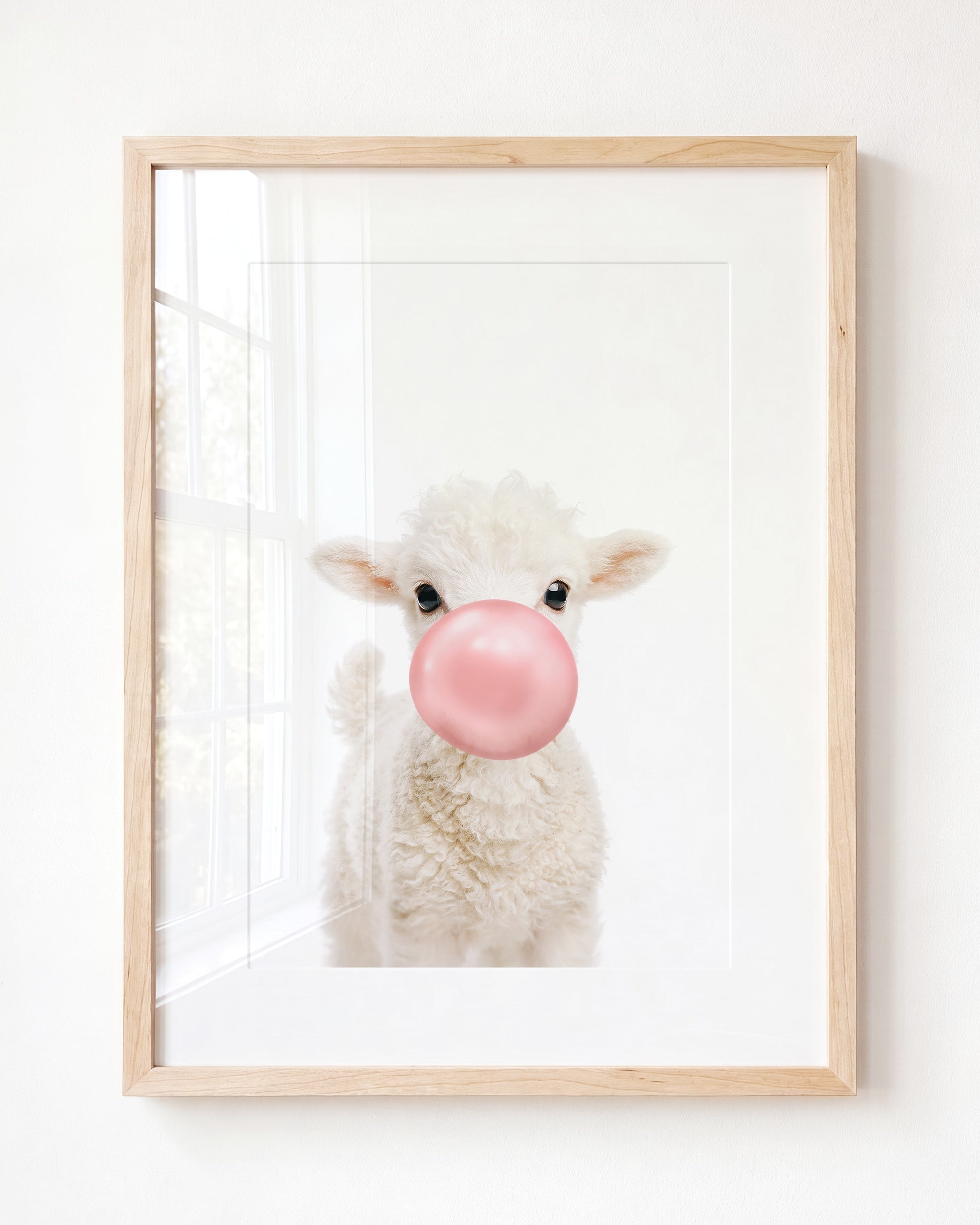 Baby Lamb